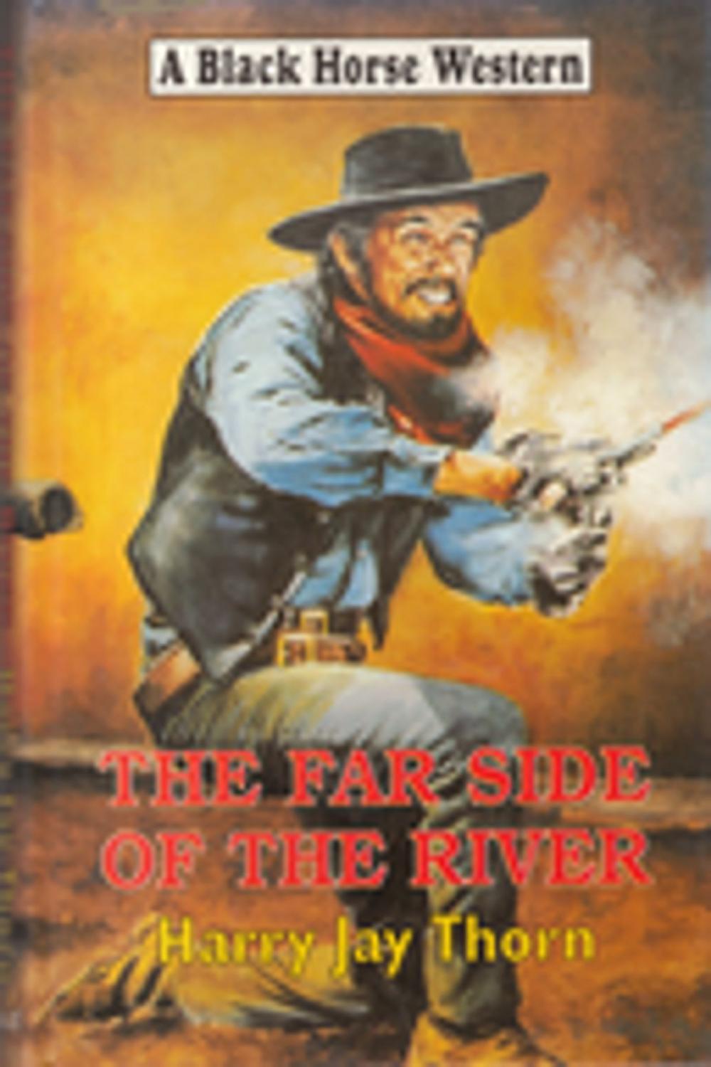 Big bigCover of The Far Side of the River