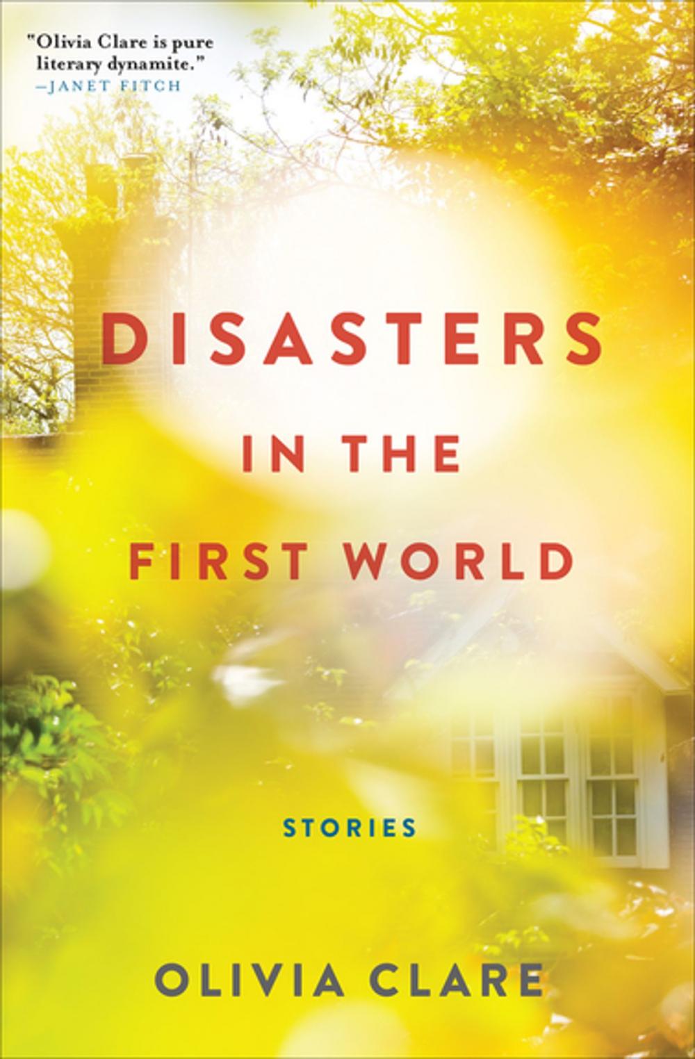 Big bigCover of Disasters in the First World