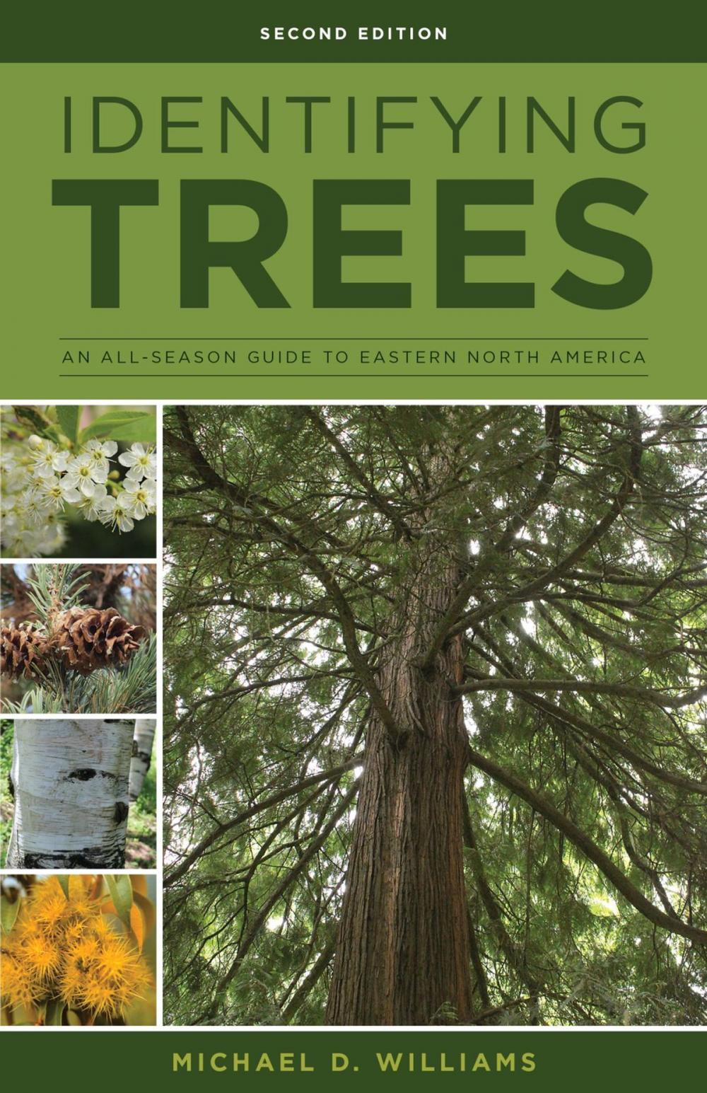 Big bigCover of Identifying Trees of the East