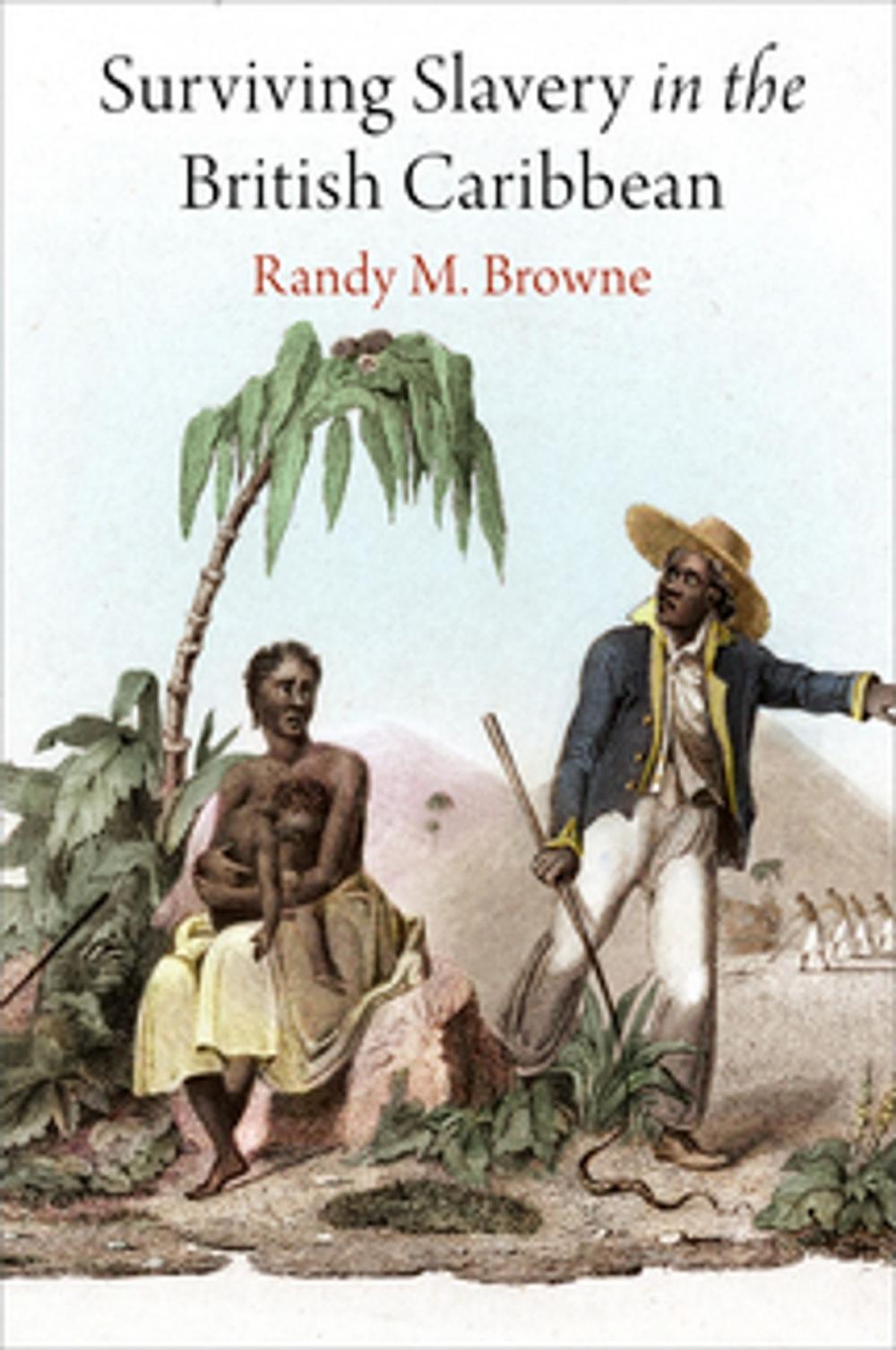 Big bigCover of Surviving Slavery in the British Caribbean