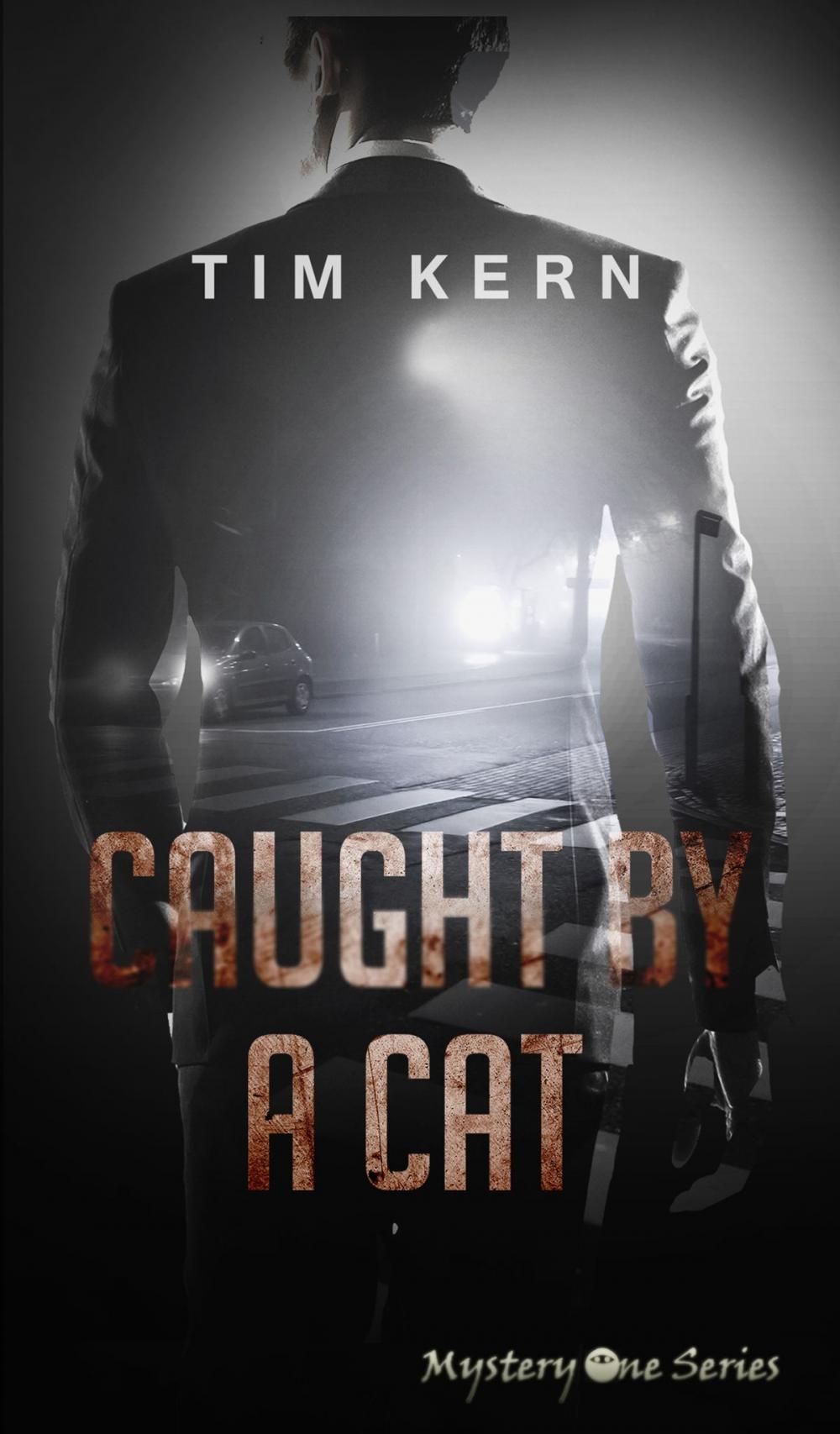 Big bigCover of Caught by a Cat: Not a Childrens' Book