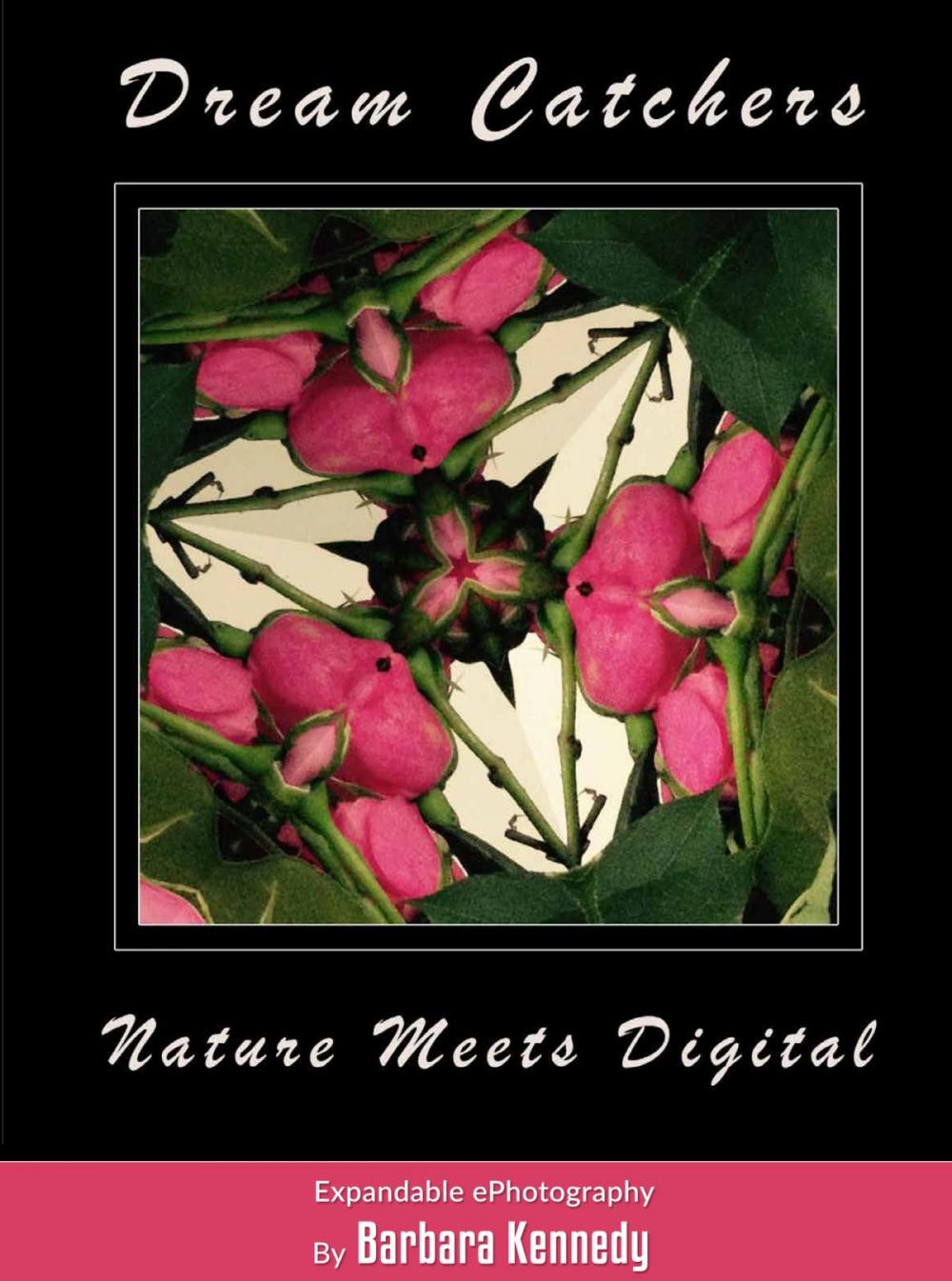 Big bigCover of DREAM CATCHERS - Nature Meets Digital