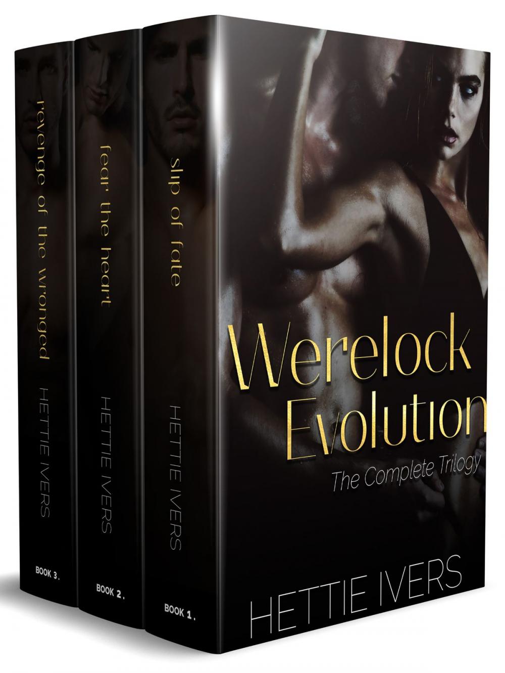 Big bigCover of Werelock Evolution