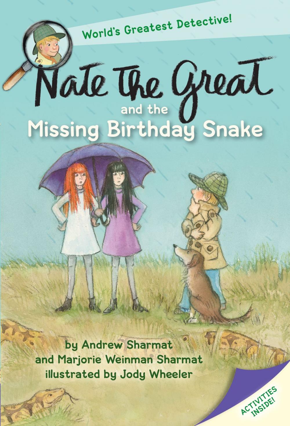 Big bigCover of Nate the Great and the Missing Birthday Snake