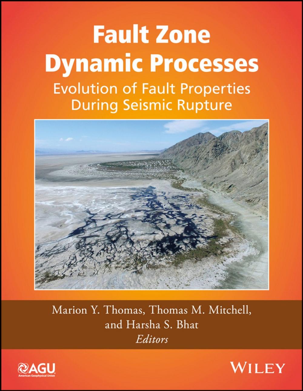 Big bigCover of Fault Zone Dynamic Processes