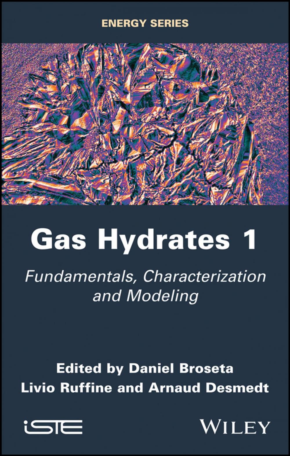 Big bigCover of Gas Hydrates 1