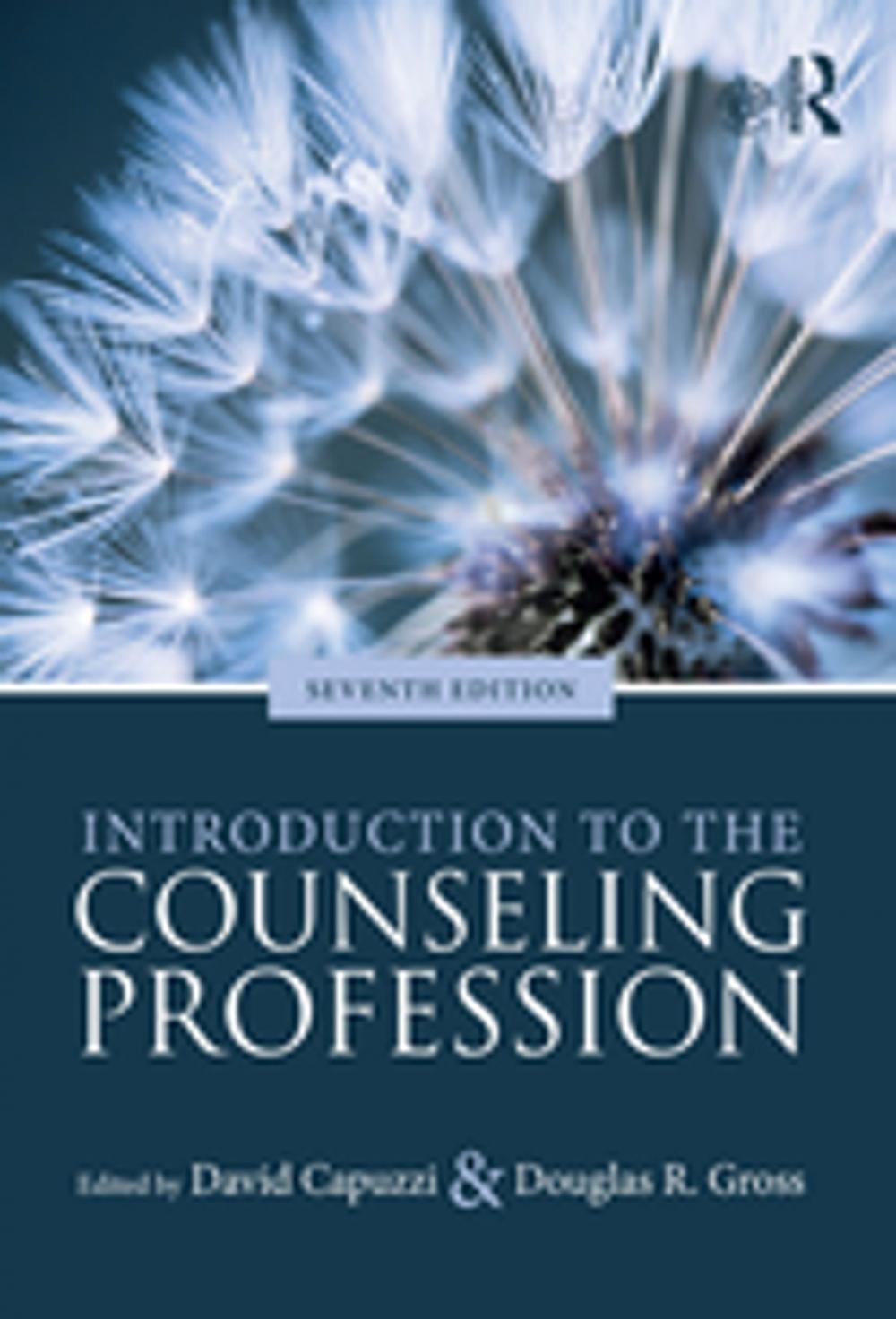 Big bigCover of Introduction to the Counseling Profession