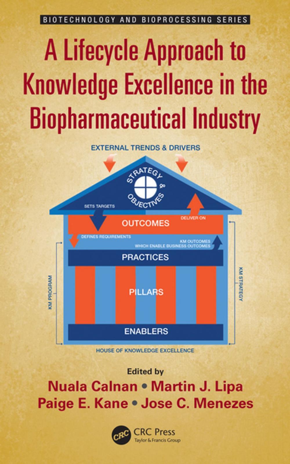 Big bigCover of A Lifecycle Approach to Knowledge Excellence in the Biopharmaceutical Industry