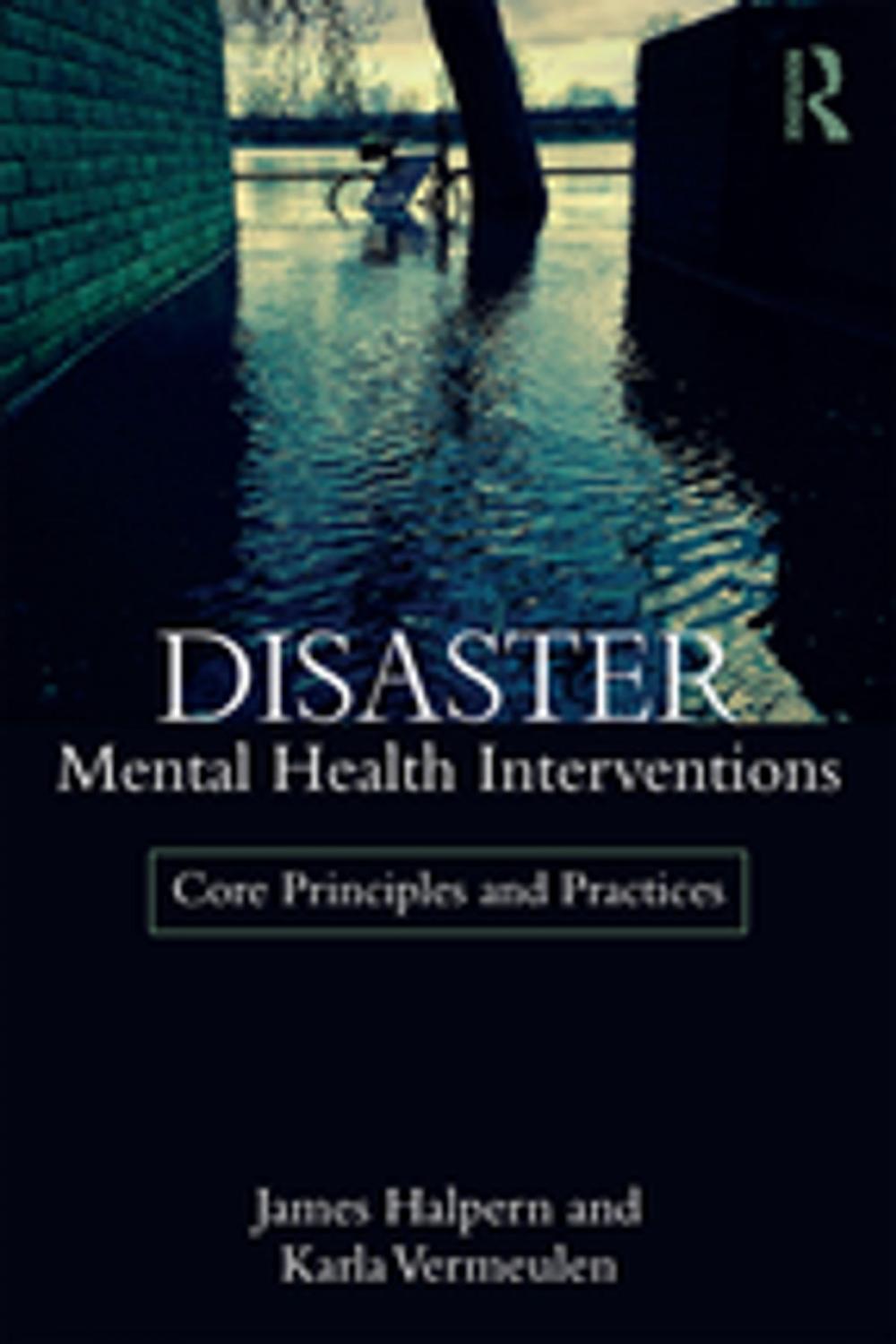 Big bigCover of Disaster Mental Health Interventions