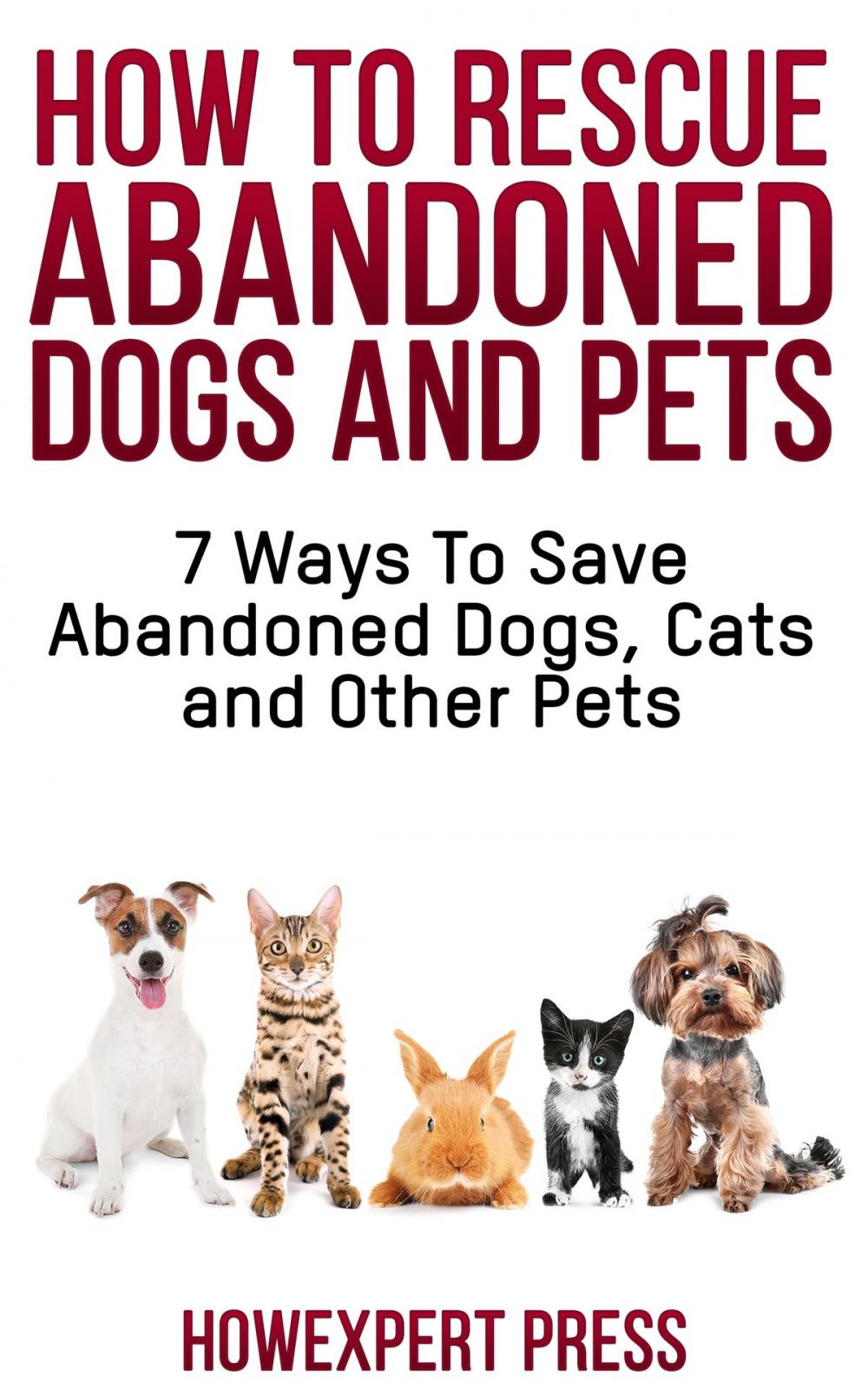 Big bigCover of How To Rescue Abandoned Dogs and Cats: 7 Ways To Save Abandoned Dogs, Cats, and Other Pets