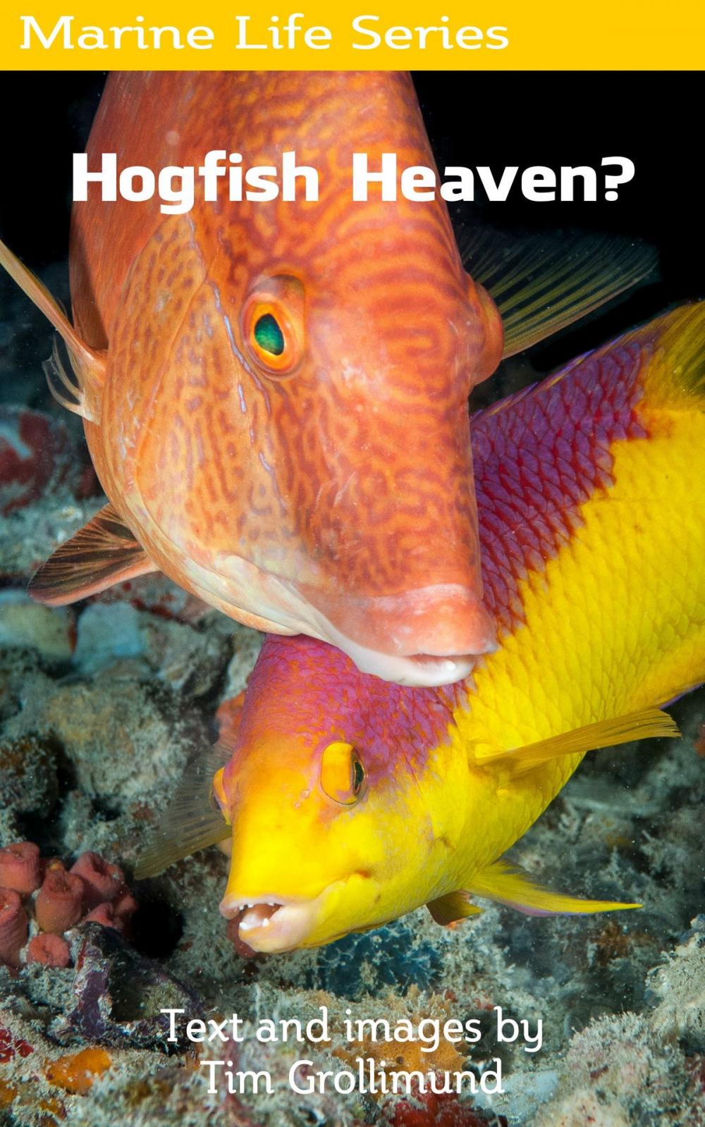 Big bigCover of Hogfish Heaven?