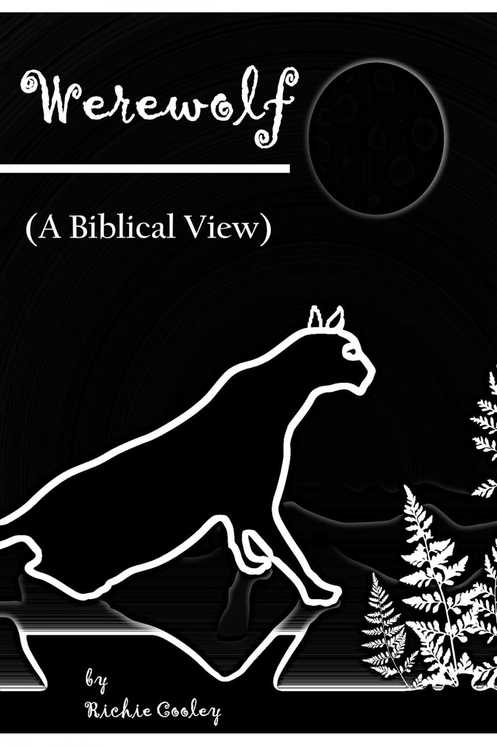 Big bigCover of Werewolf (A Biblical View)