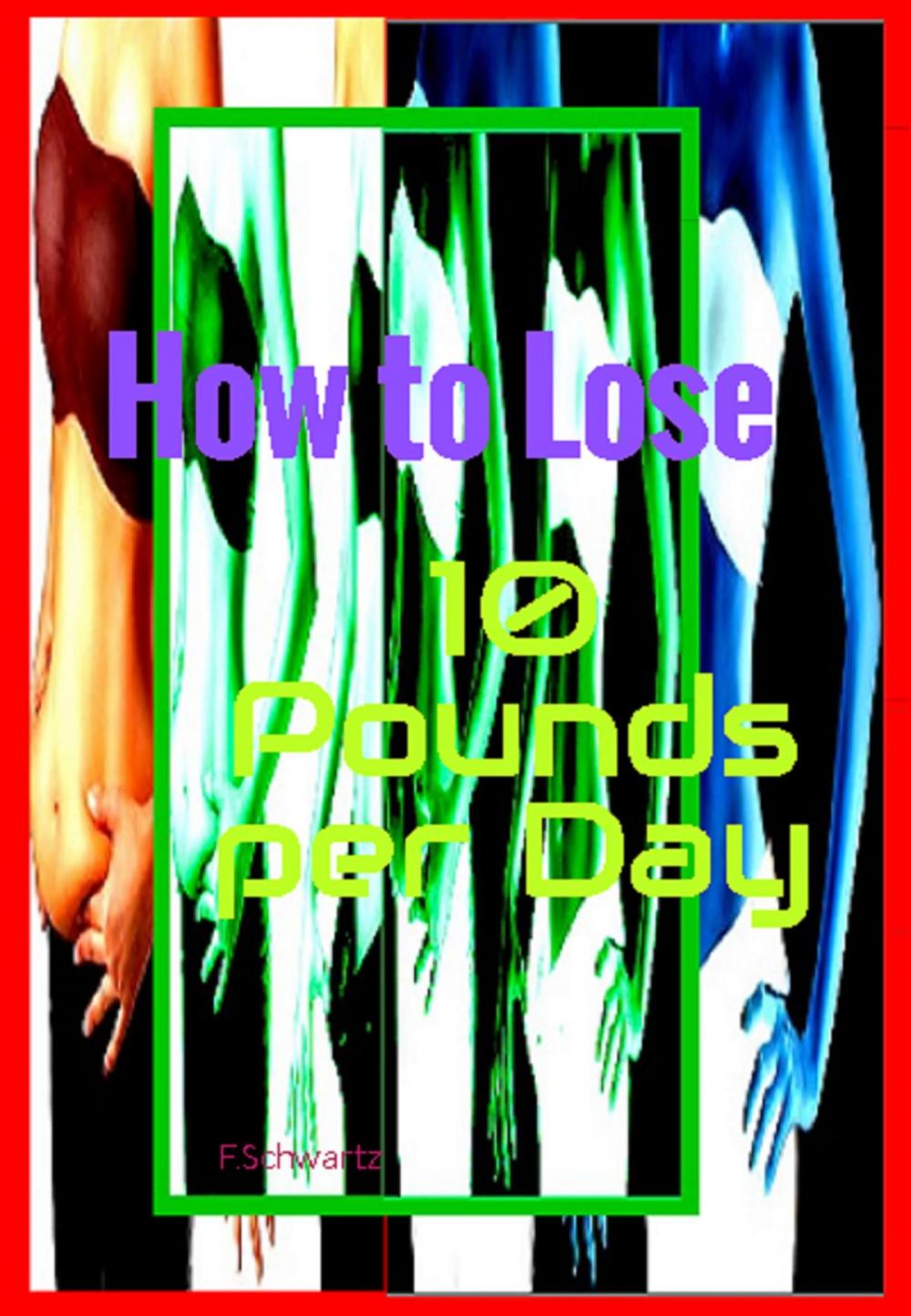 Big bigCover of How to Lose 10 Pounds per Day