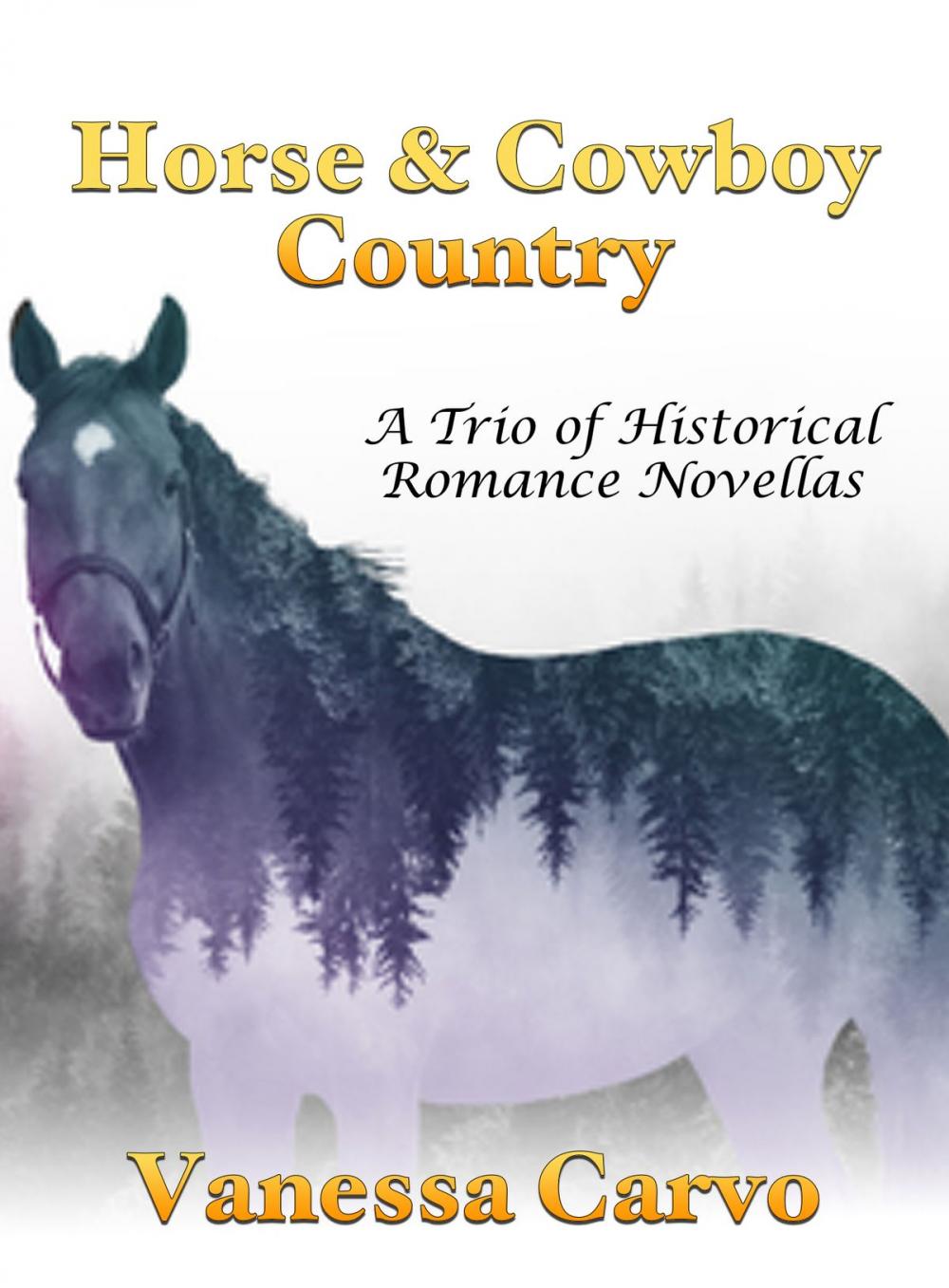 Big bigCover of Horse & Cowboy Country: A Trio of Historical Romance Novellas