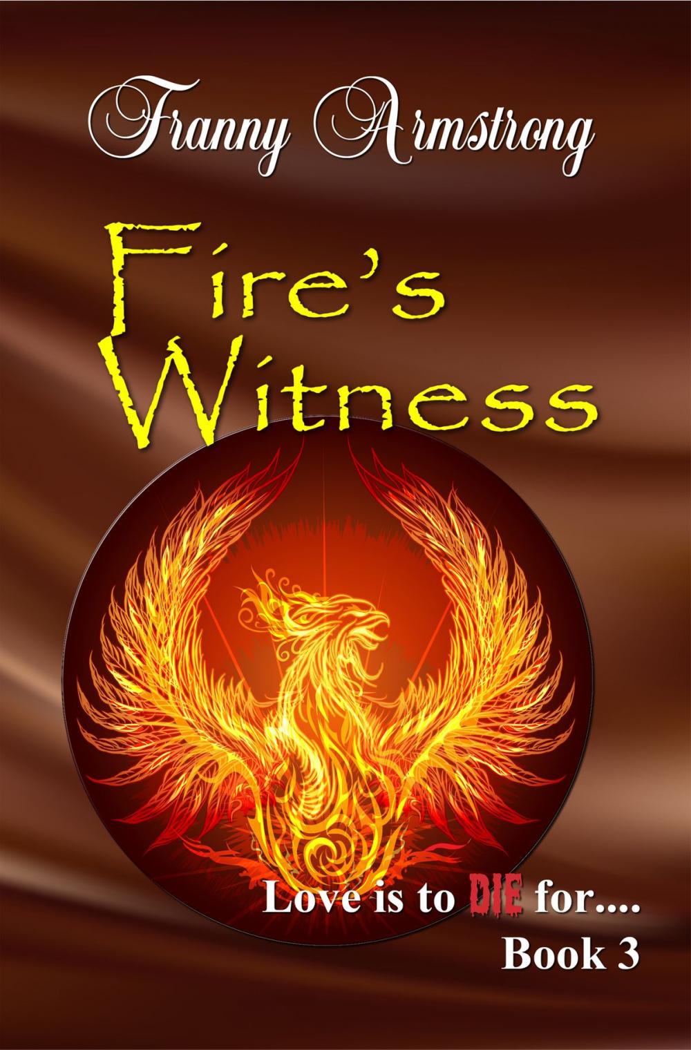 Big bigCover of Fire's Witness