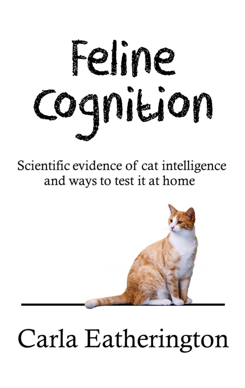 Big bigCover of Feline Cognition