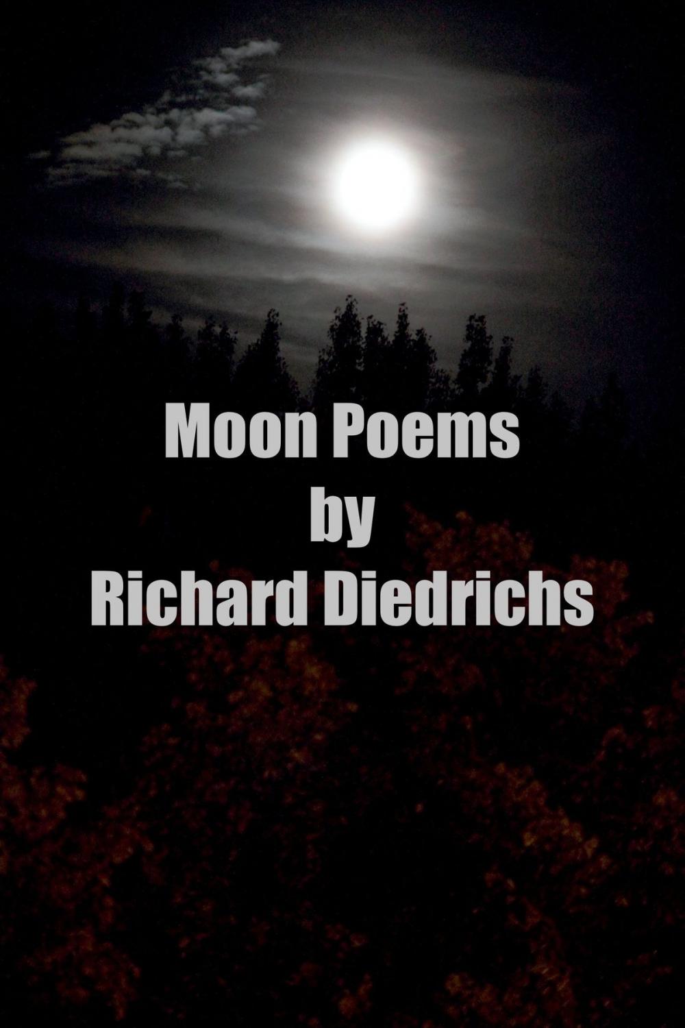 Big bigCover of Moon Poems