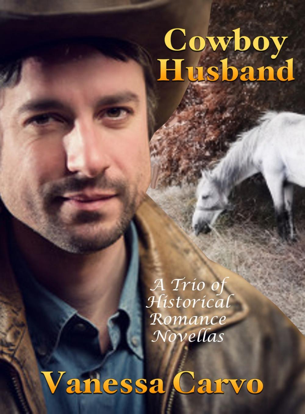 Big bigCover of Cowboy Husband: A Trio of Historical Romance Novellas