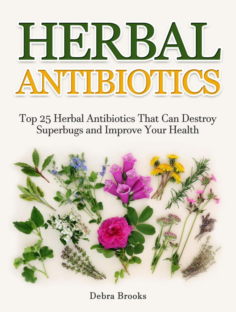 Big bigCover of Herbal Antibiotics: Top 25 Herbal Antibiotics That Can Destroy Superbugs and Improve Your Health