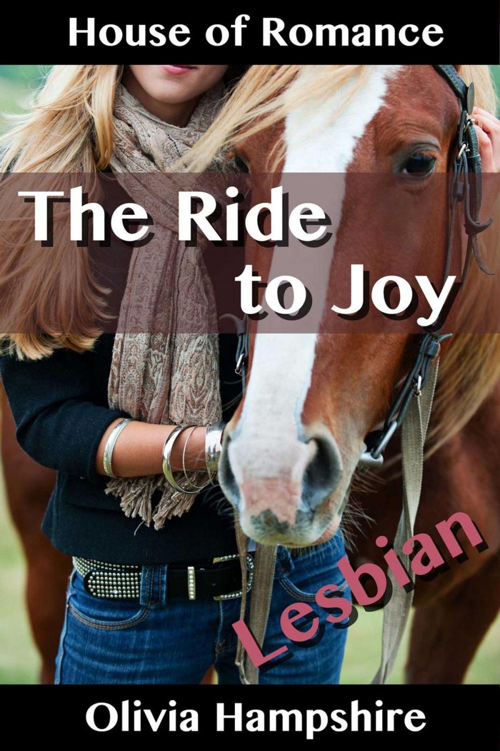 Big bigCover of The Ride to Joy