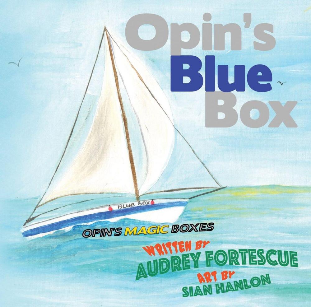 Big bigCover of Opin's Blue Box