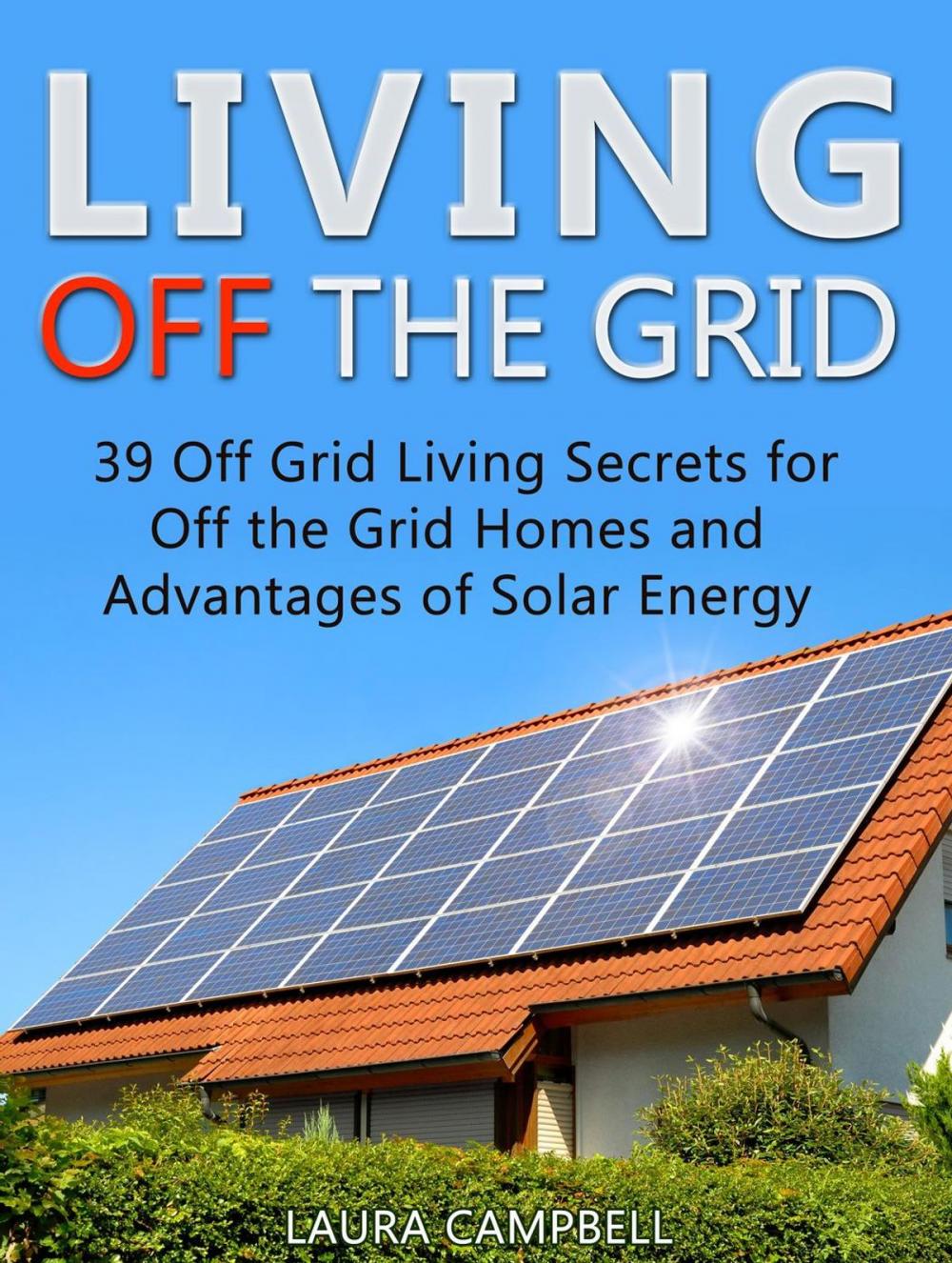 Big bigCover of Living Off The Grid: 39 Surprisingly Effective Ways to Make a Self-Reliant and Hassle Free Living off the Grid