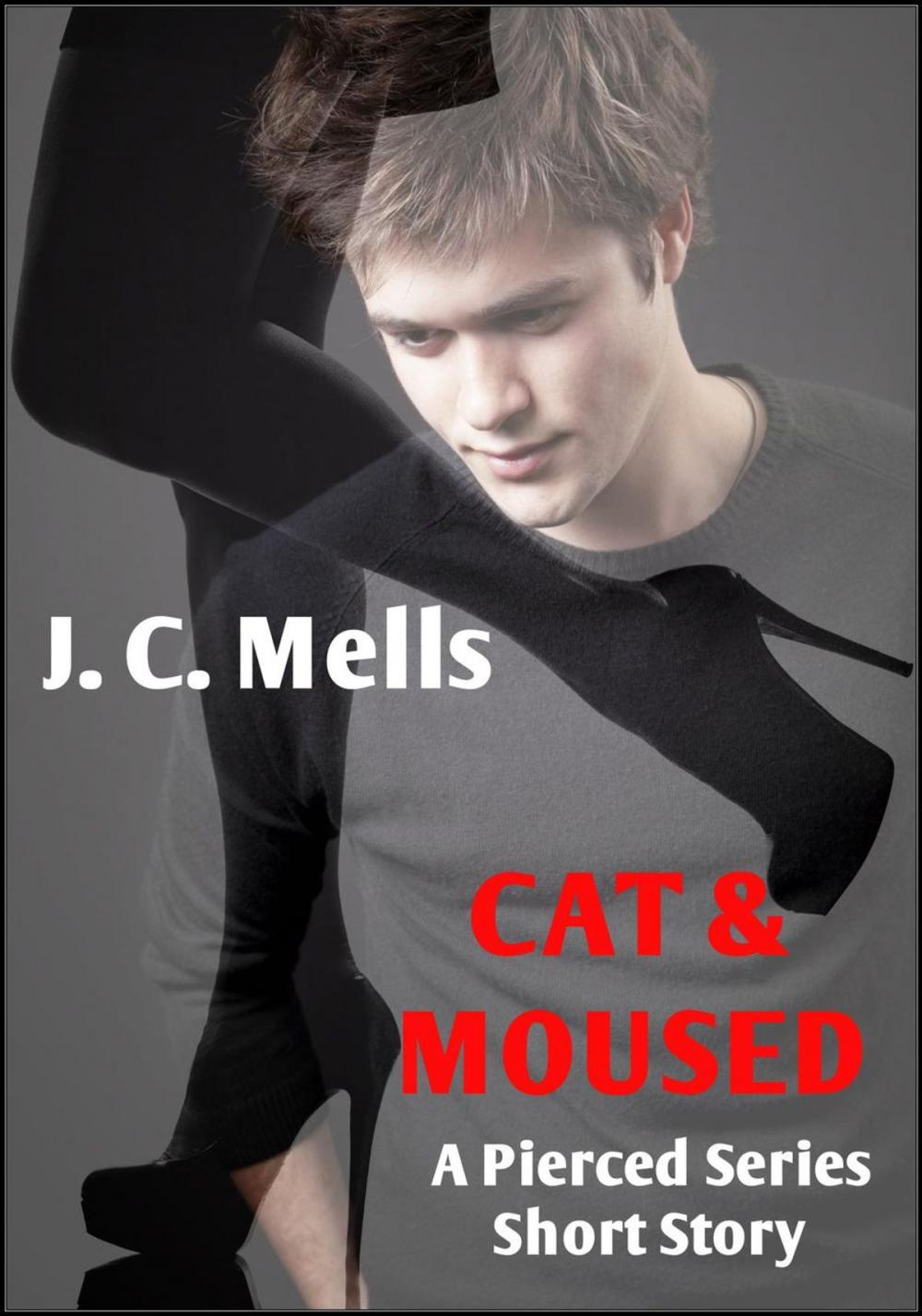 Big bigCover of Cat & Moused