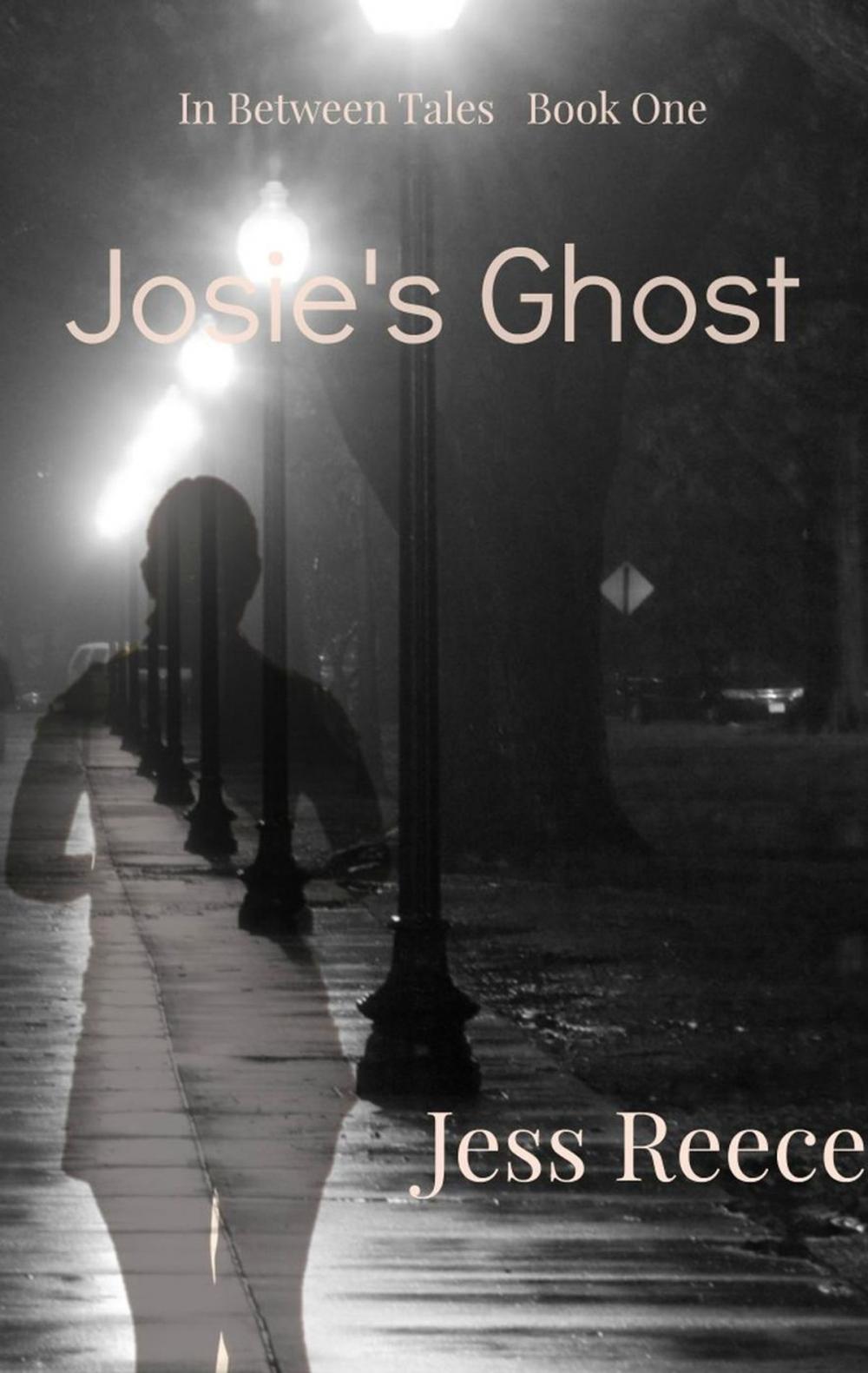 Big bigCover of Josie's Ghost