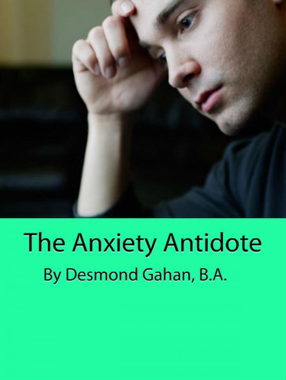 Big bigCover of The Anxiety Antidote