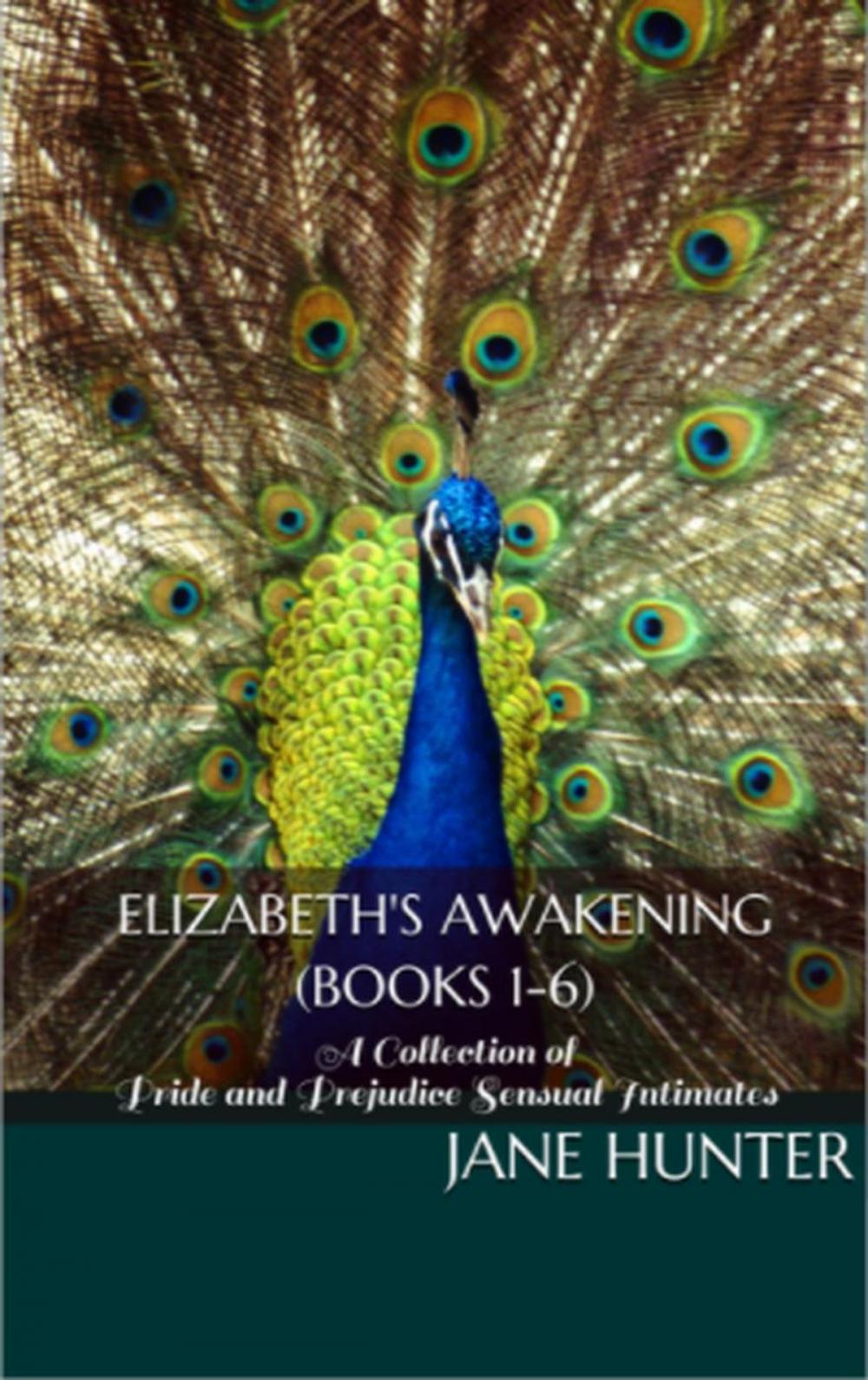 Big bigCover of Elizabeth's Awakening: A Collection of Pride and Prejudice Sensual Intimates (Books 1-6)