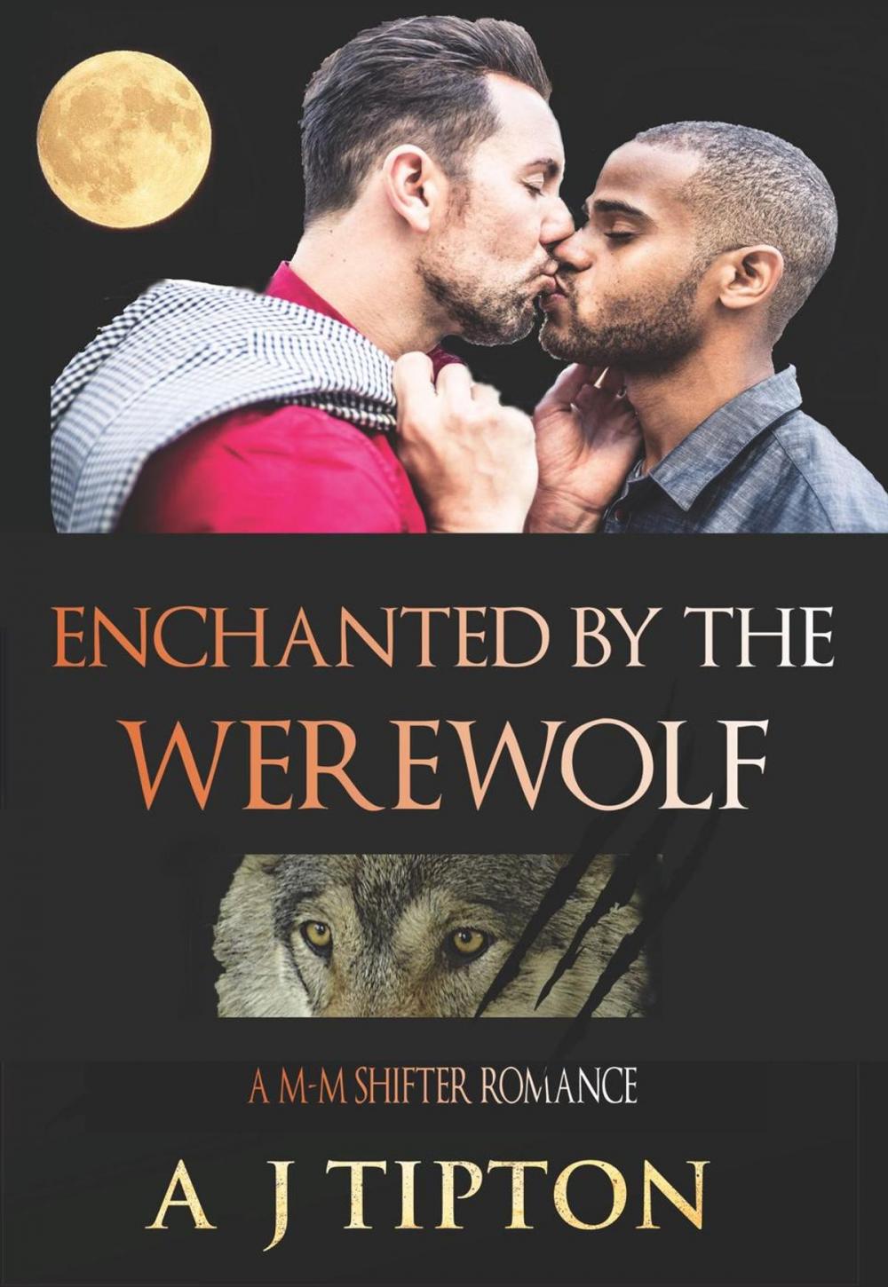 Big bigCover of Enchanted by the Werewolf