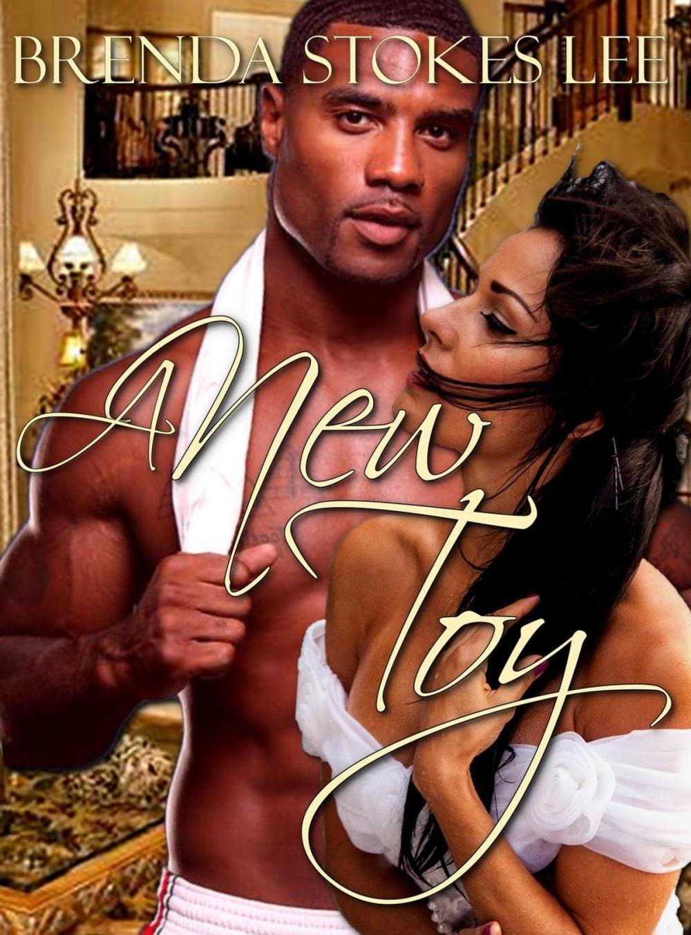 Big bigCover of A New Toy, An Erotic Novella