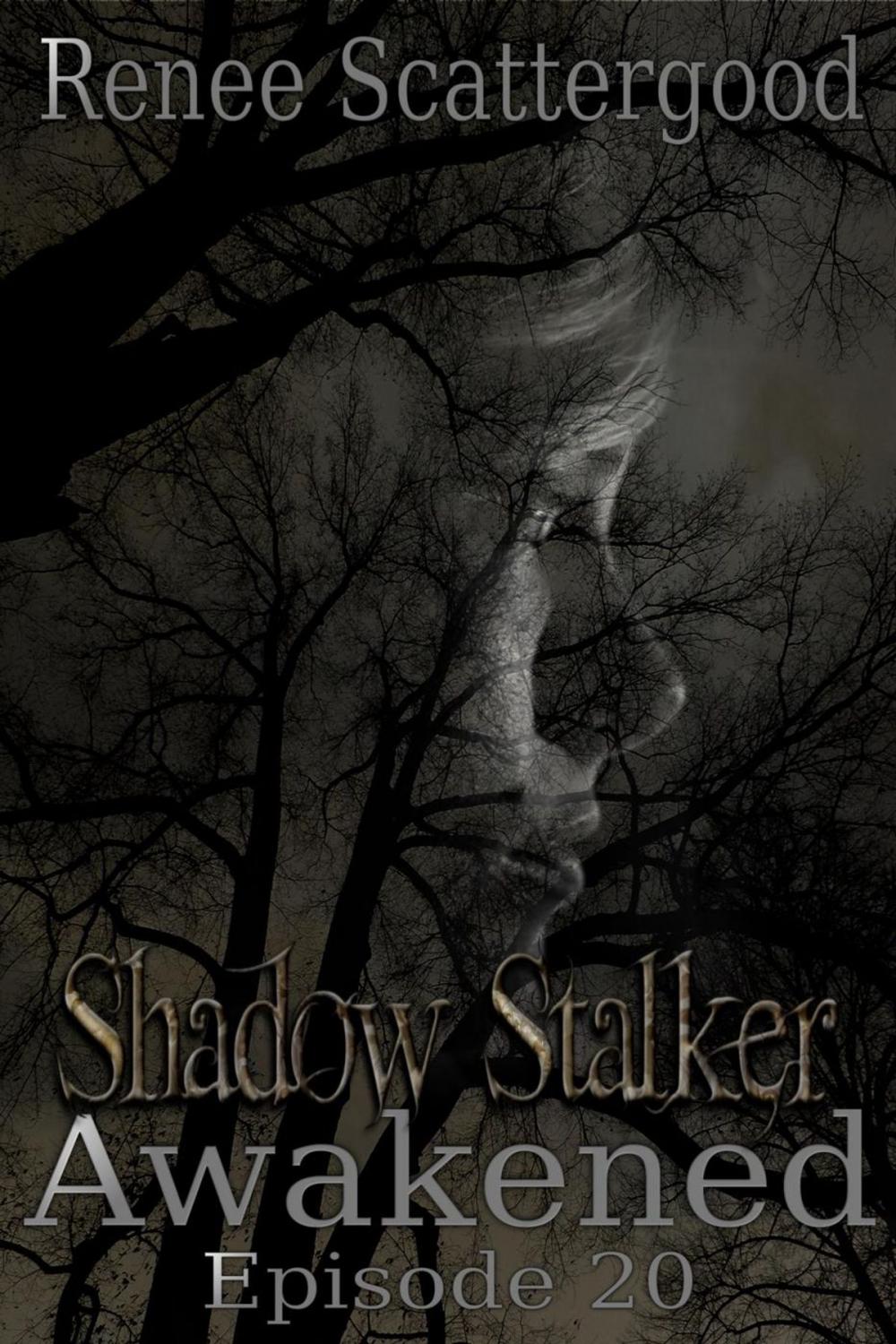 Big bigCover of Shadow Stalker: Awakened (Episode 20)