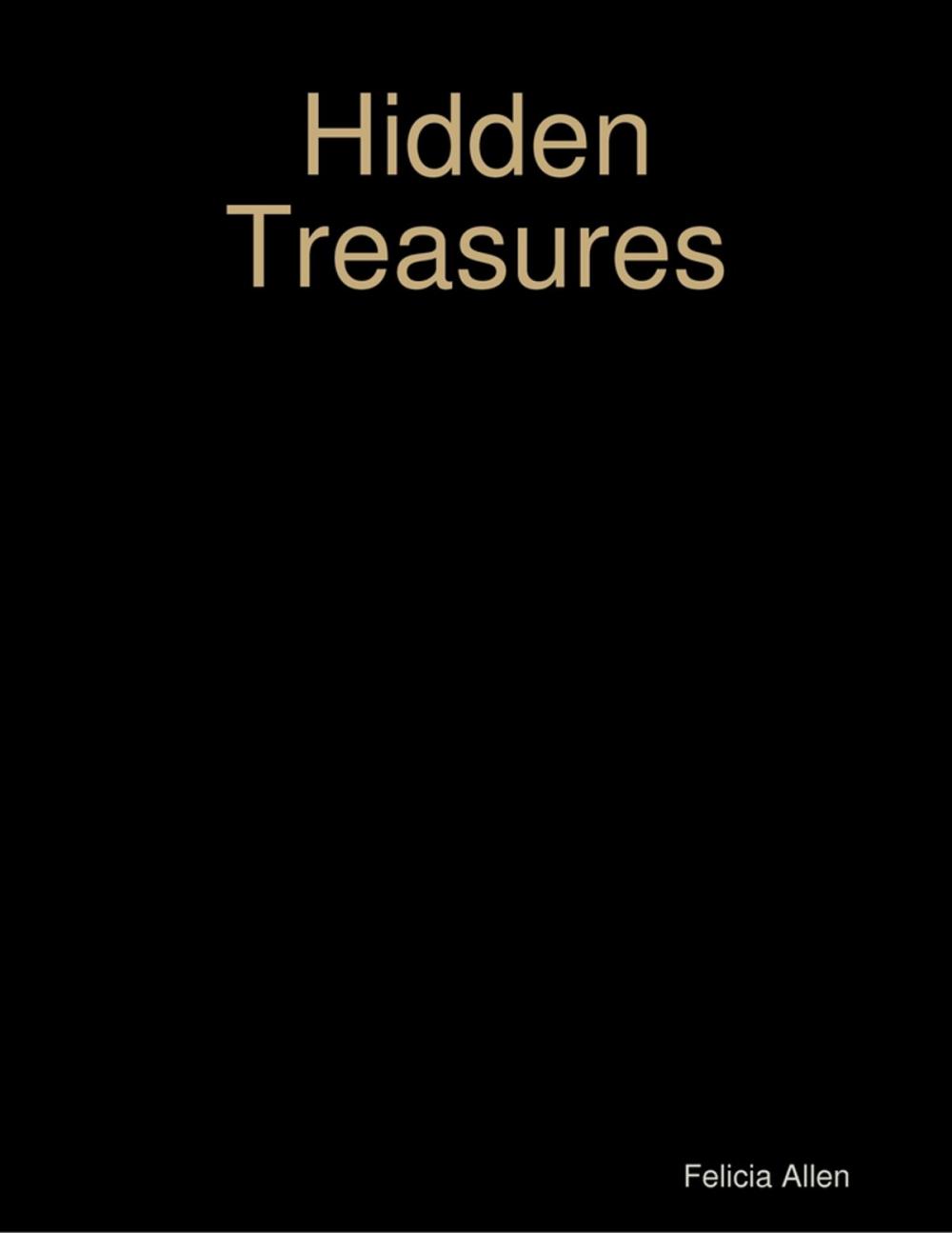 Big bigCover of Hidden Treasures