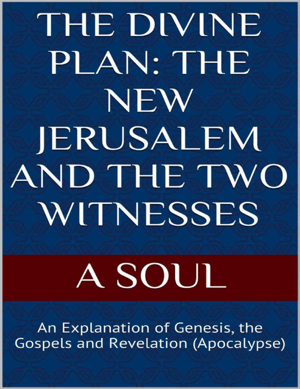 Big bigCover of The Divine Plan: The New Jerusalem and the Two Witnesses