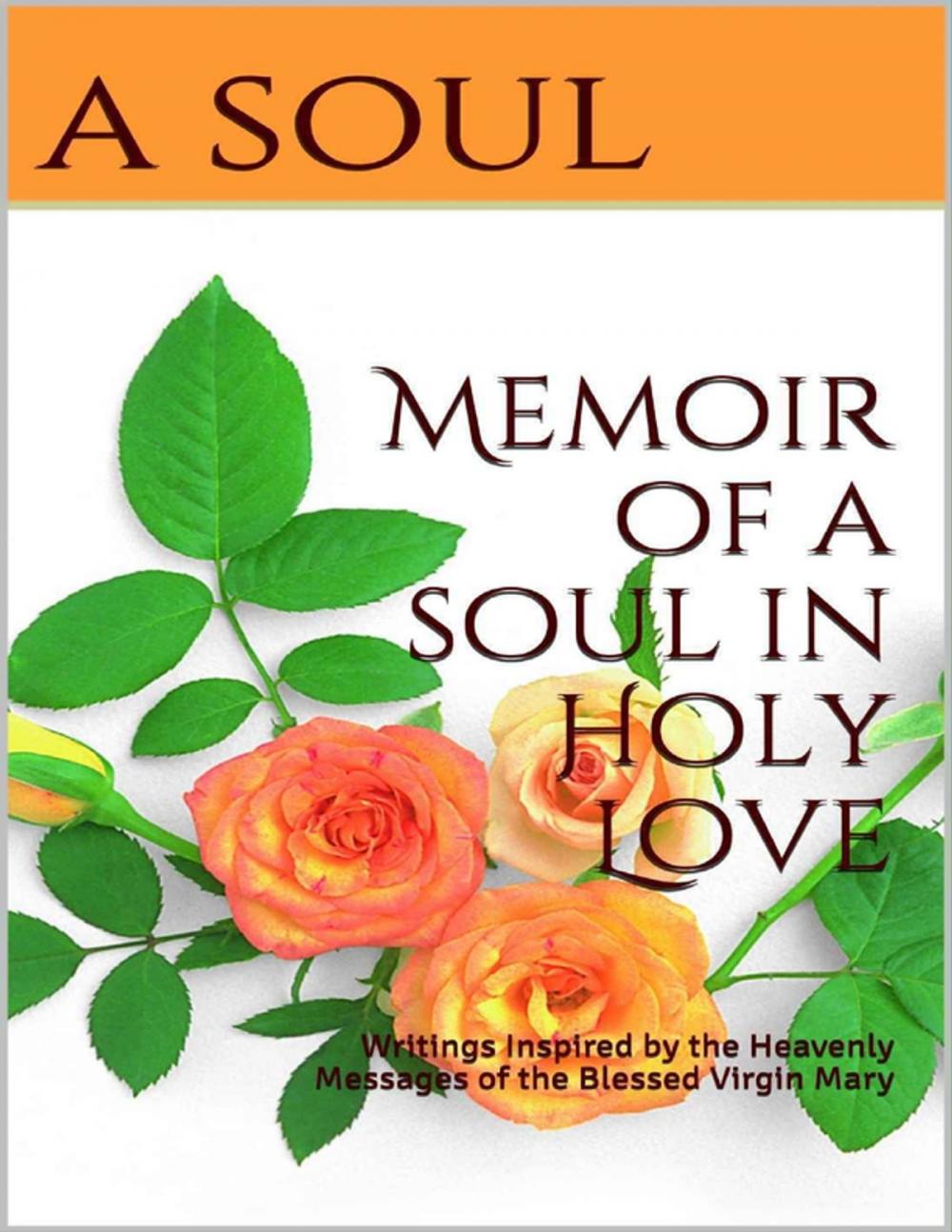 Big bigCover of Memoir of a Soul In Holy Love: Writings Inspired By the Heavenly Messages of the Blessed Virgin Mary