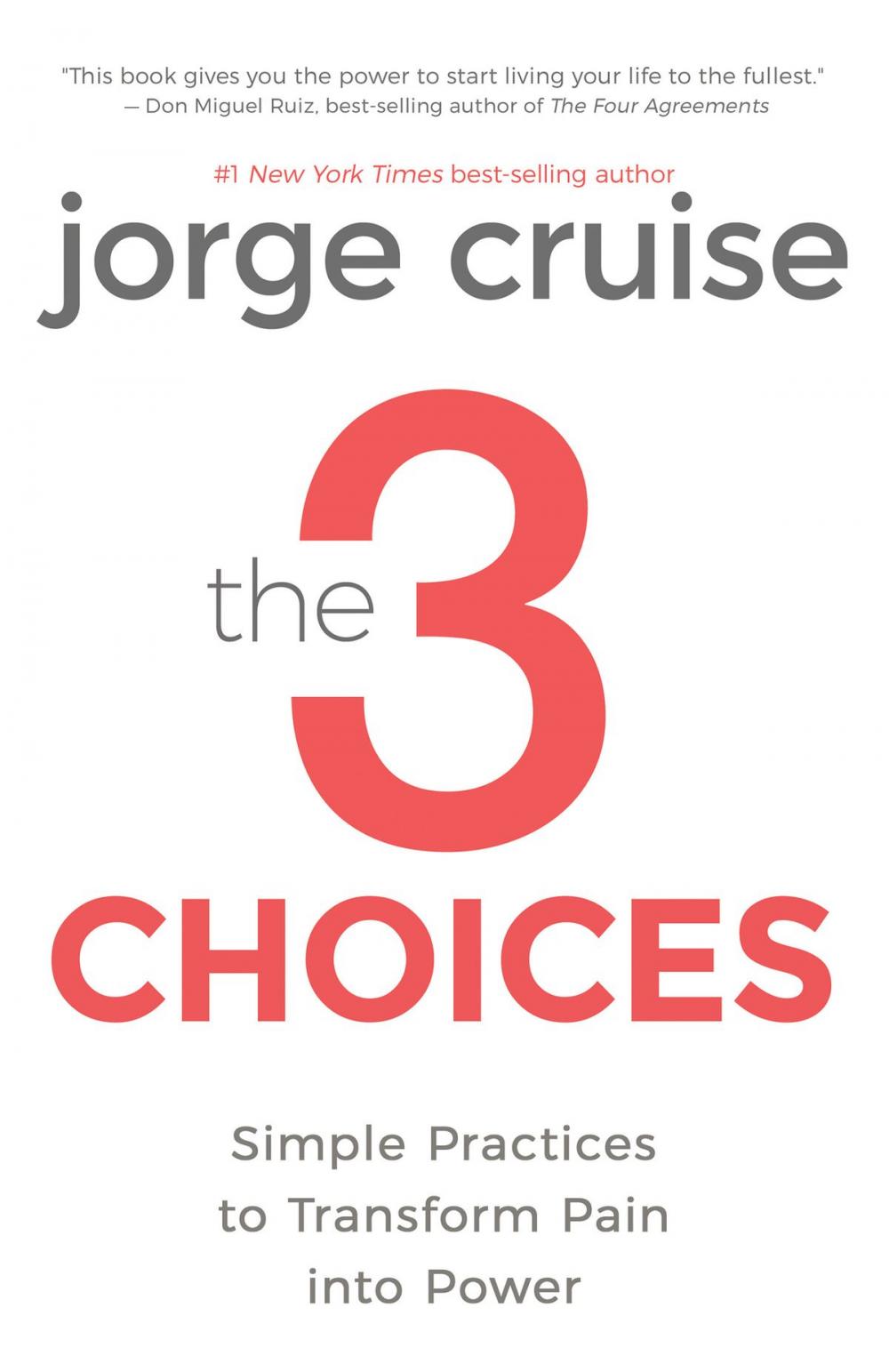 Big bigCover of The 3 Choices