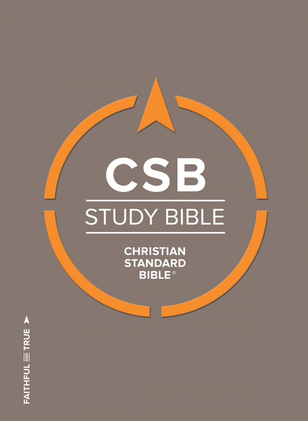 Big bigCover of CSB Study Bible