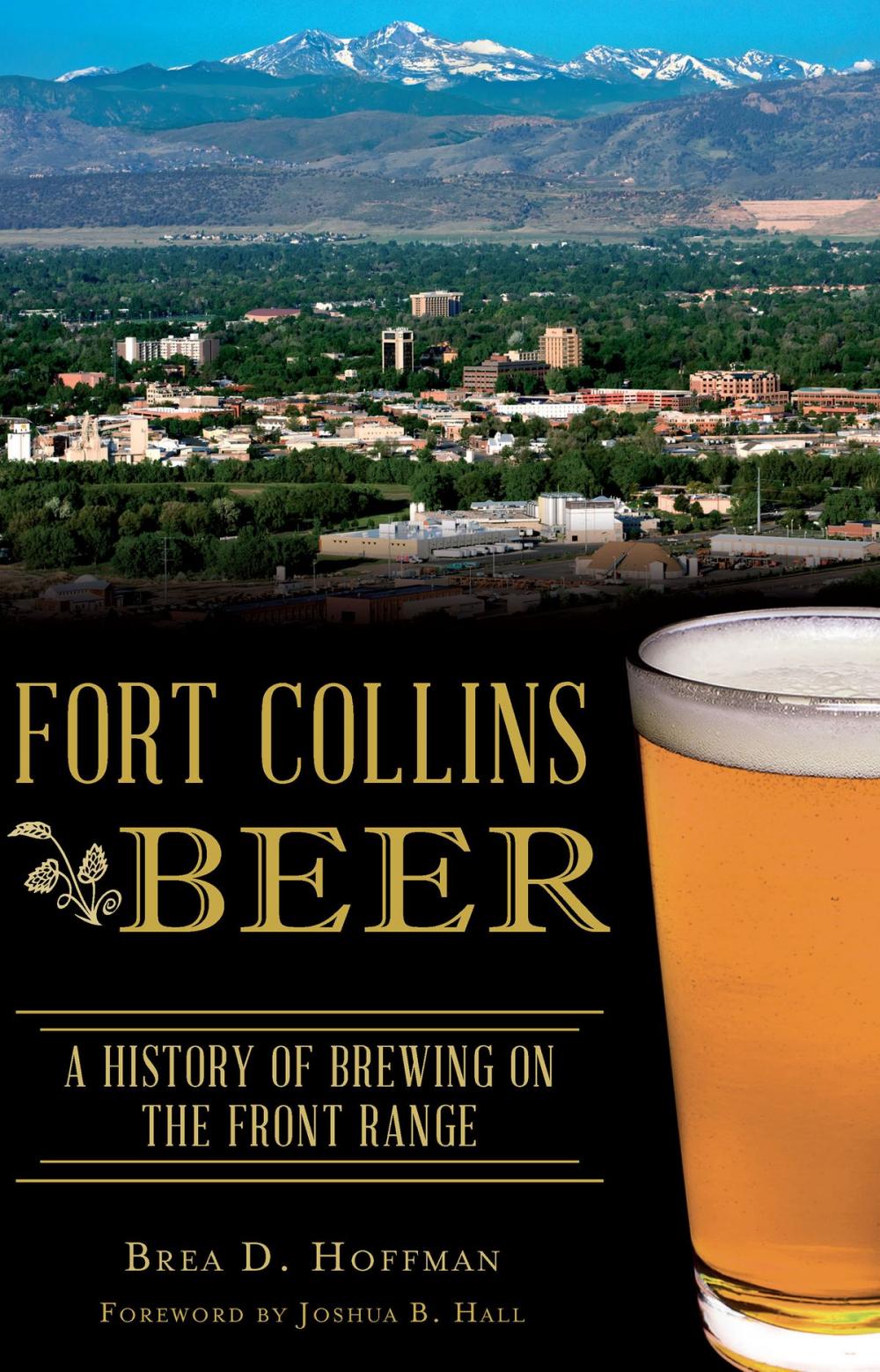 Big bigCover of Fort Collins Beer