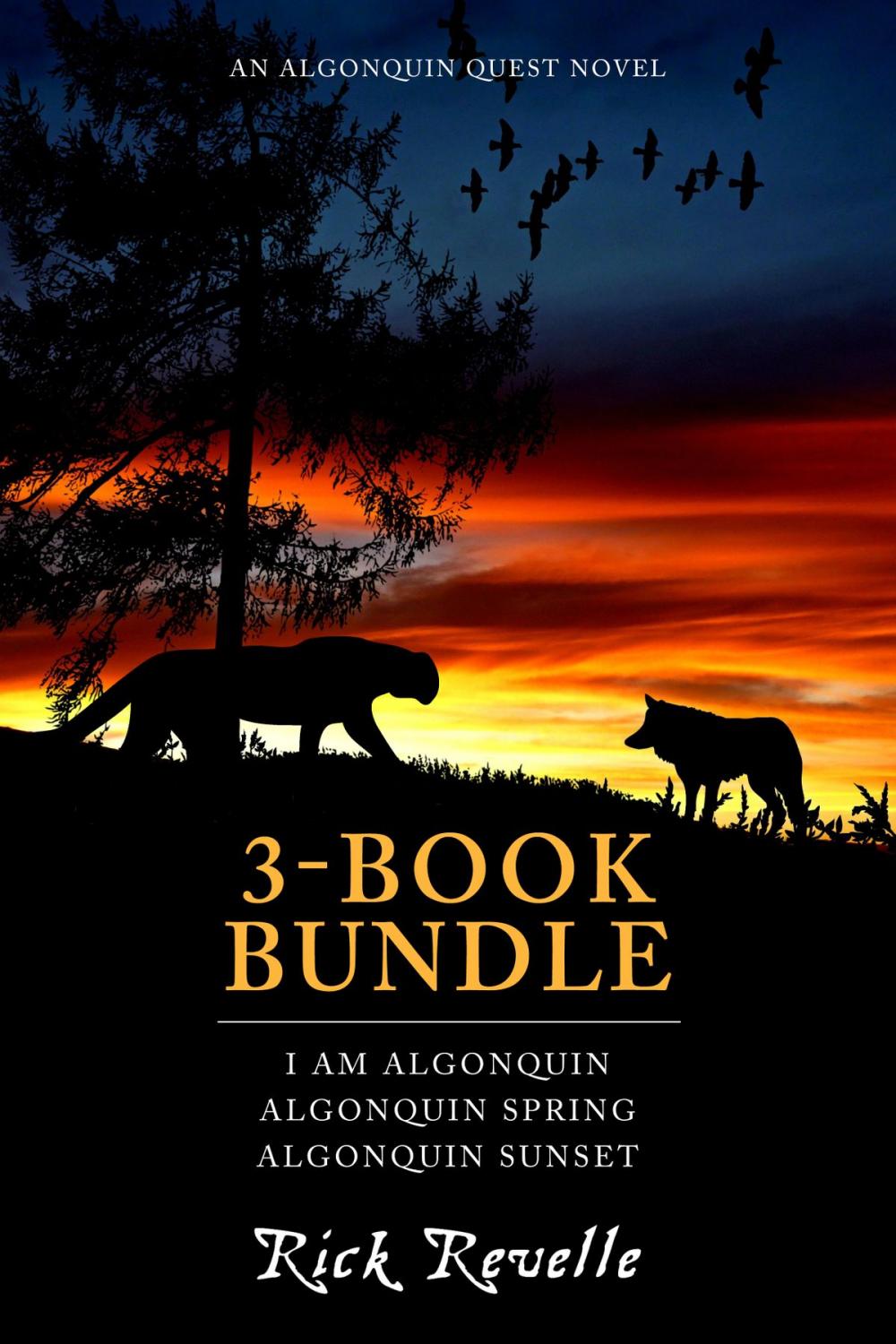 Big bigCover of Algonquin Quest 3-Book Bundle