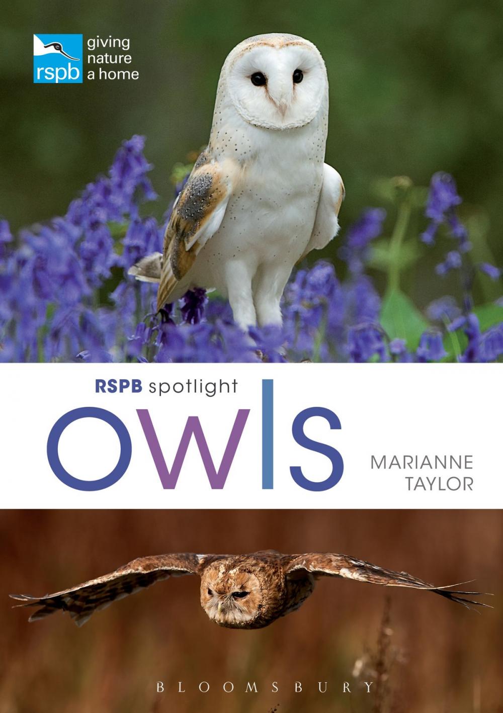 Big bigCover of RSPB Spotlight Owls