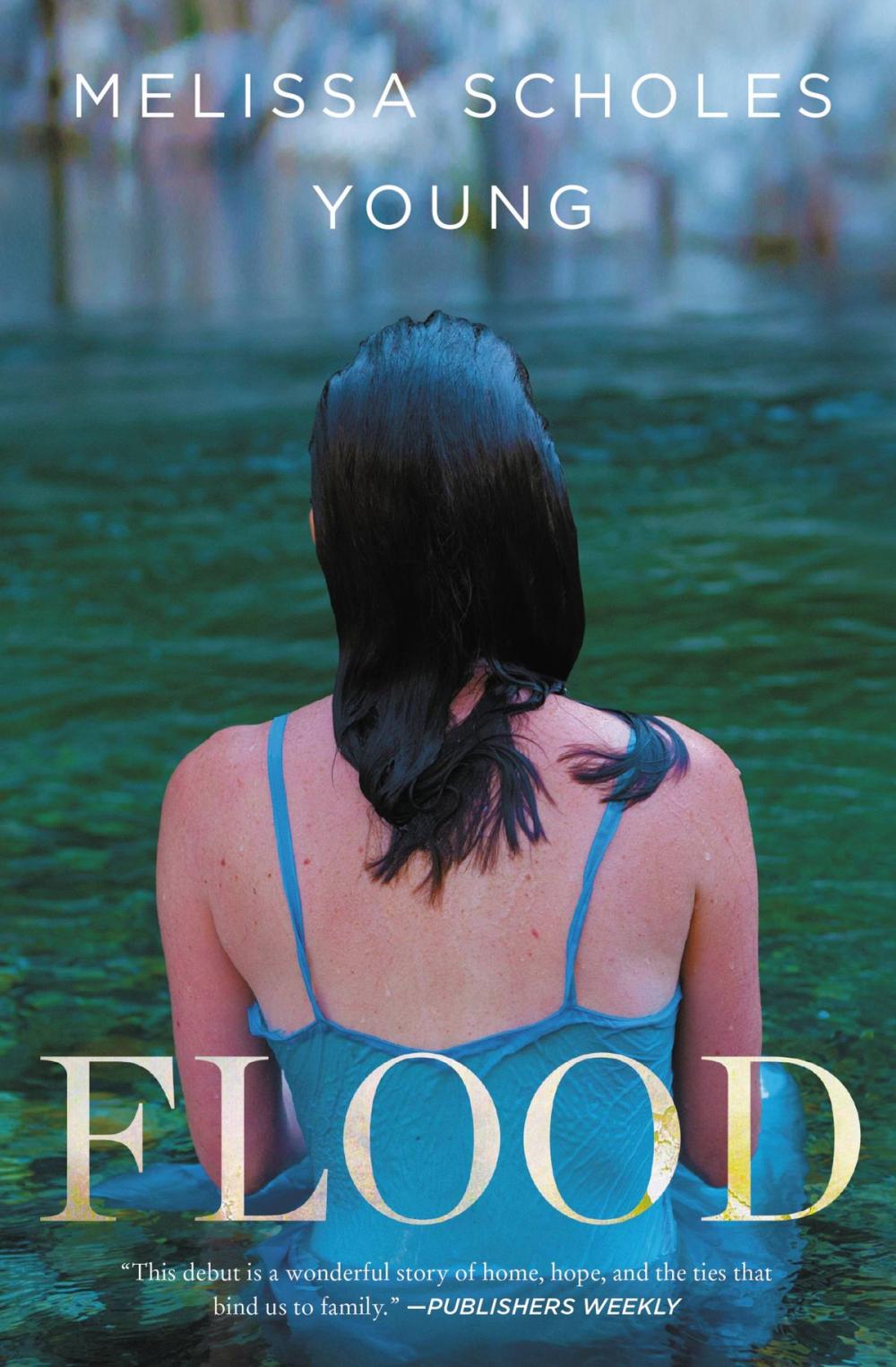 Big bigCover of Flood