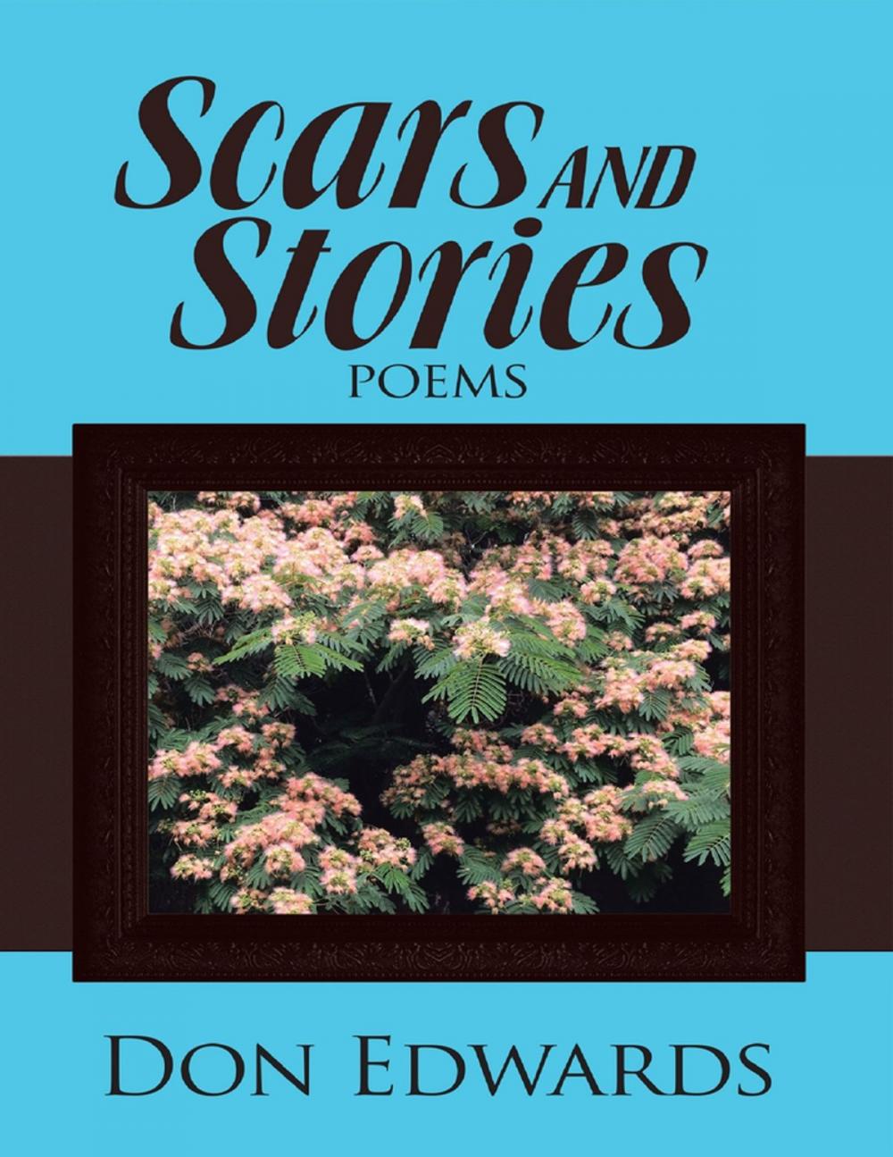 Big bigCover of Scars and Stories: Poems