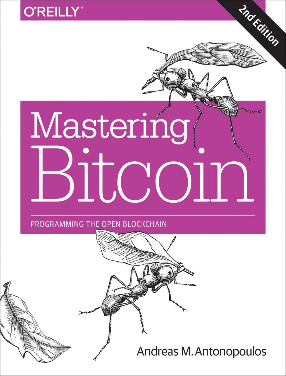 Big bigCover of Mastering Bitcoin