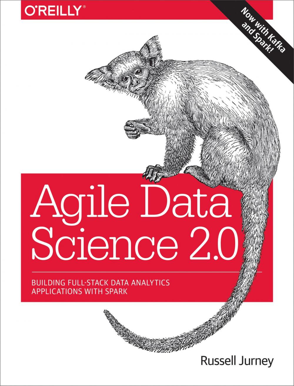 Big bigCover of Agile Data Science 2.0