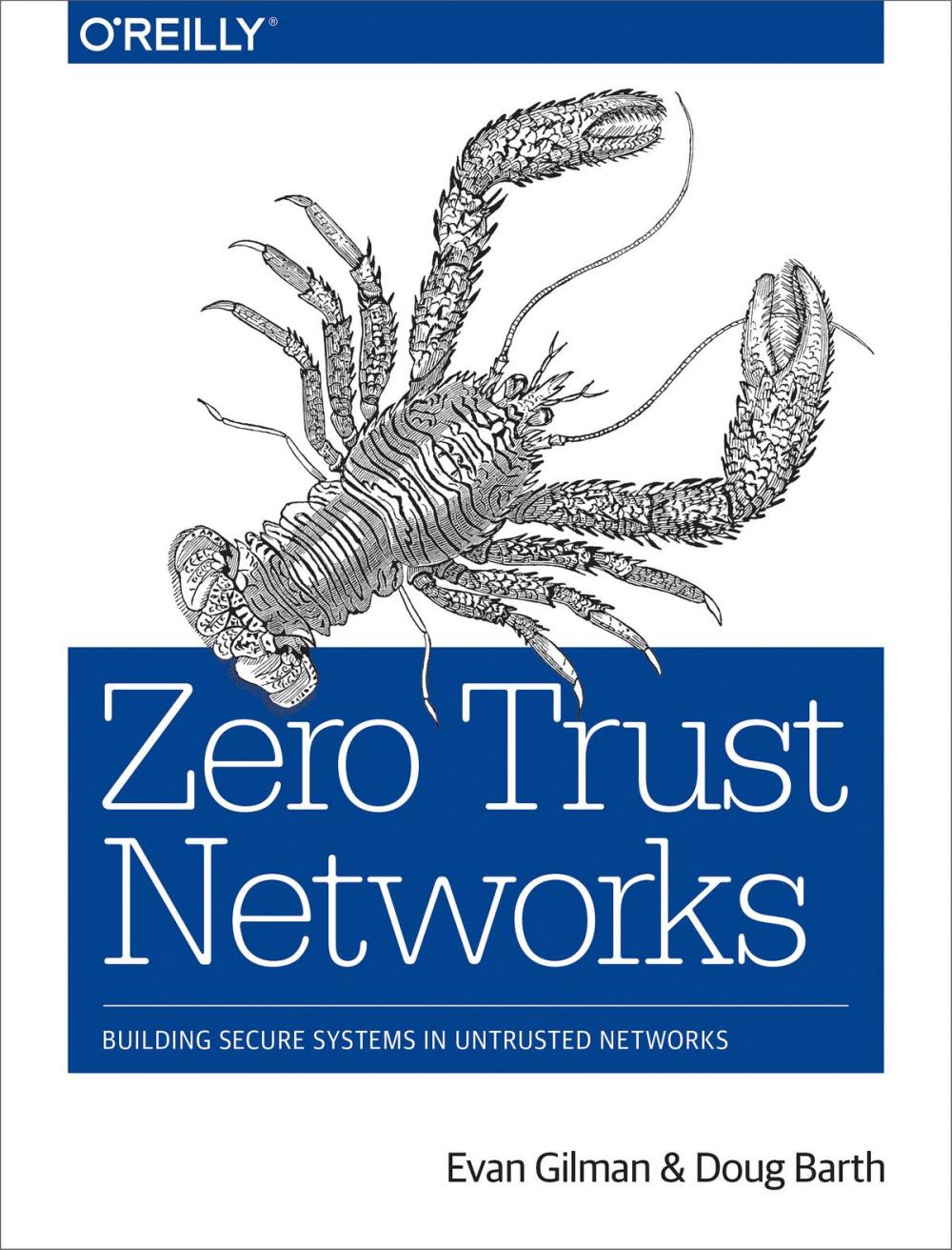 Big bigCover of Zero Trust Networks