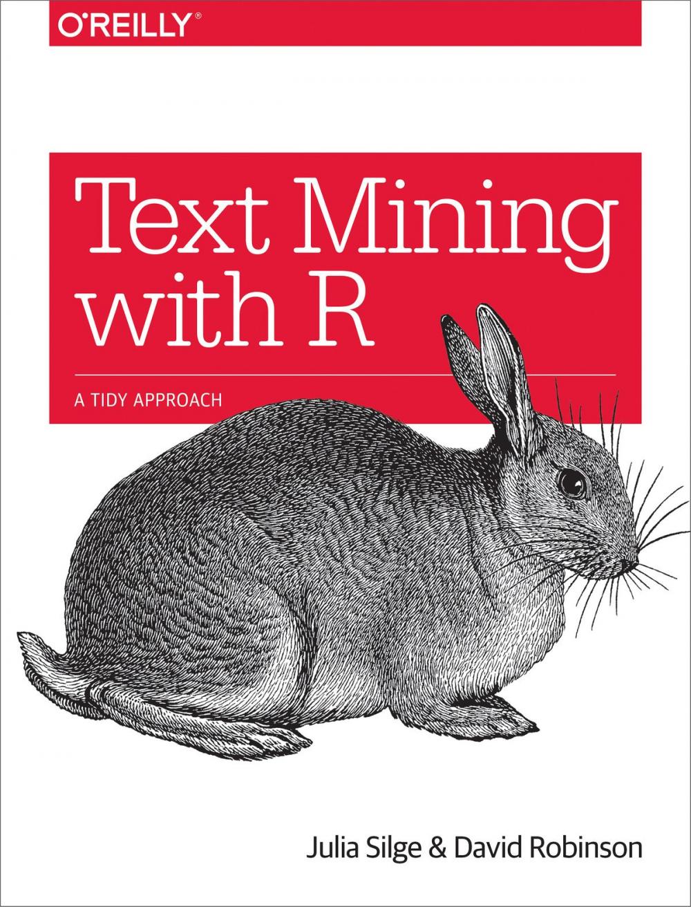 Big bigCover of Text Mining with R