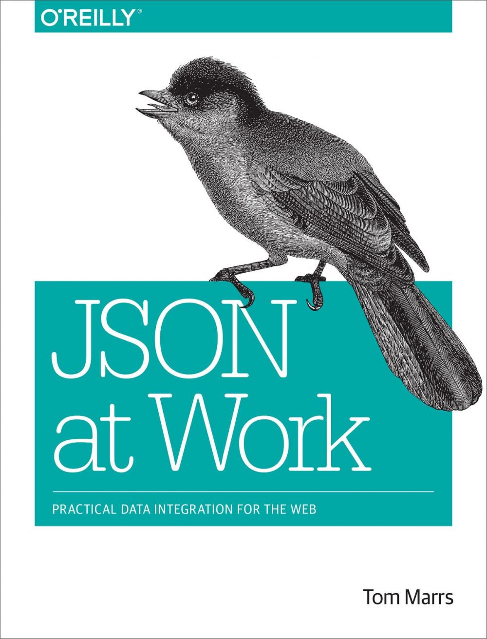 Big bigCover of JSON at Work