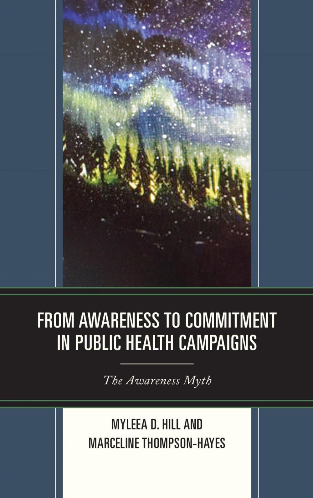 Big bigCover of From Awareness to Commitment in Public Health Campaigns