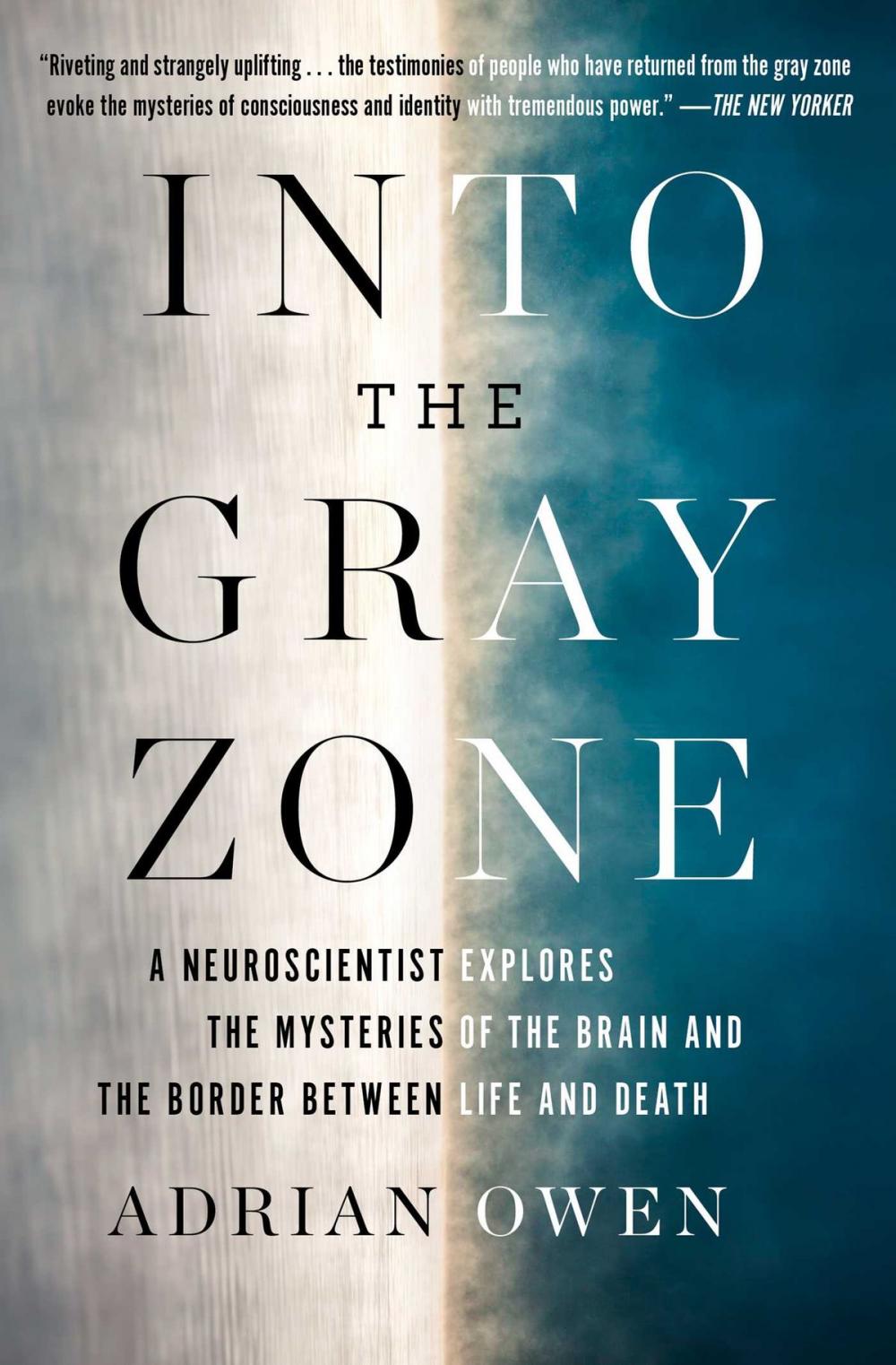 Big bigCover of Into the Gray Zone